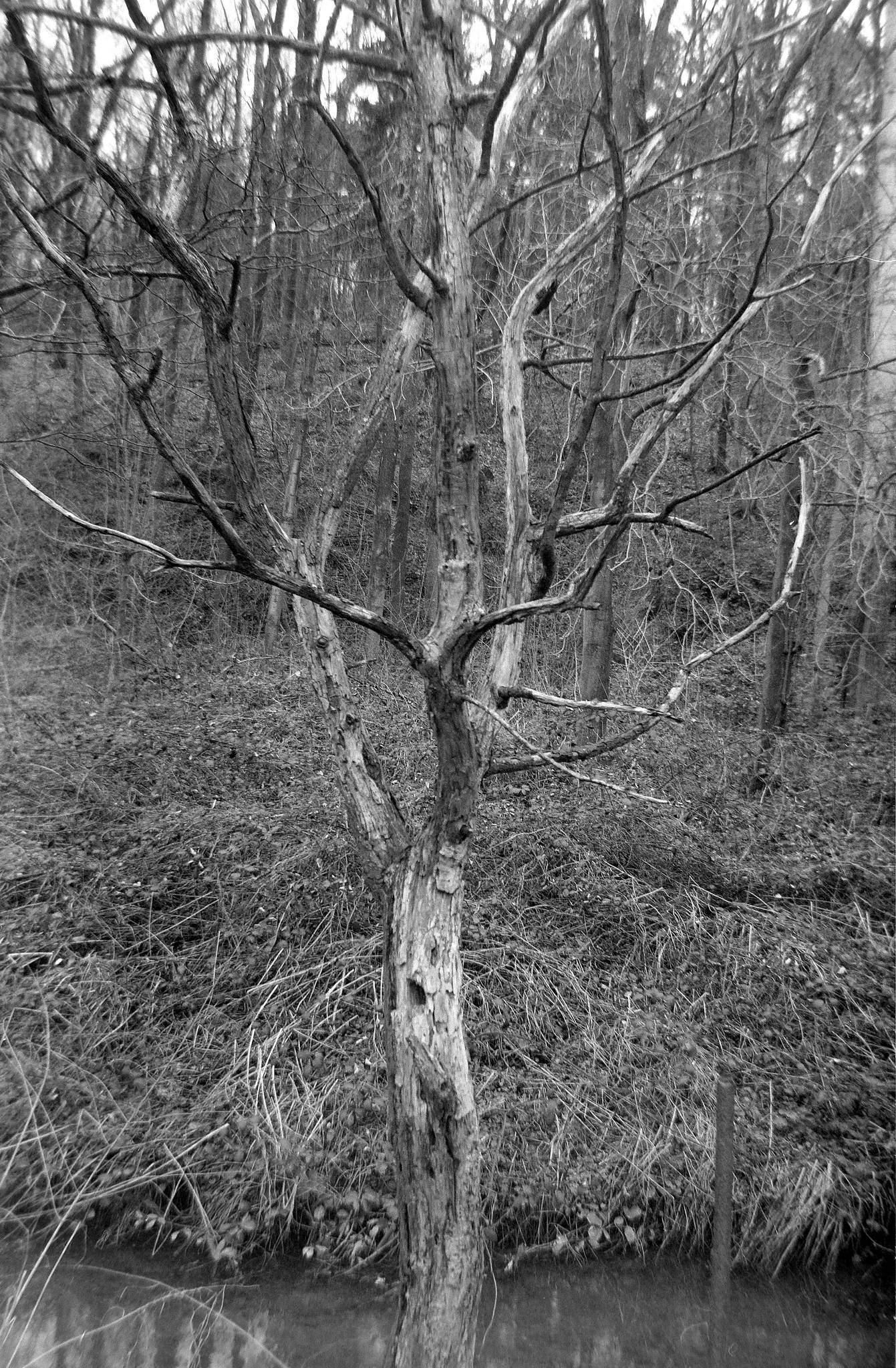 2017 03 18  clack 01 33475742106 o