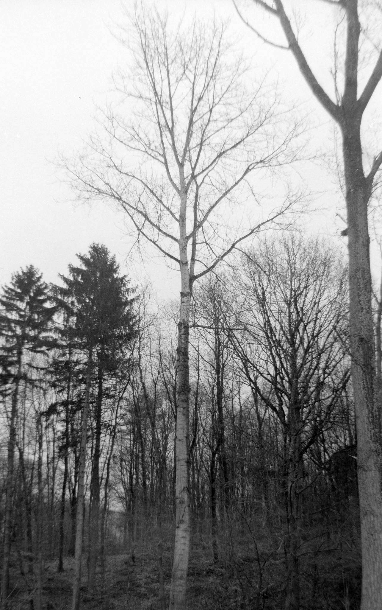 2017 03 18  clack 02 33475749416 o