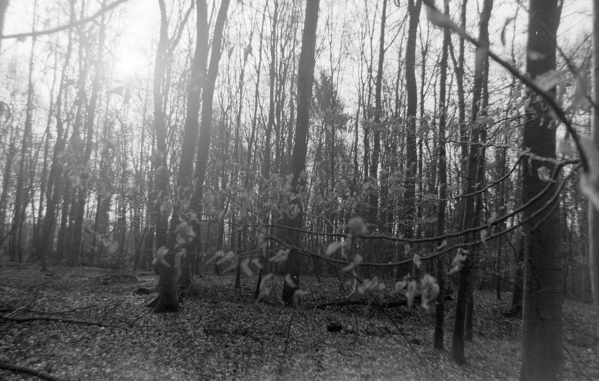 2017 03 18  clack 06 32702072233 o