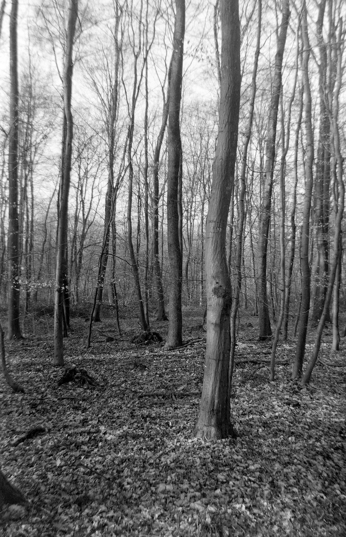 2017 03 18  clack 07 32702081593 o