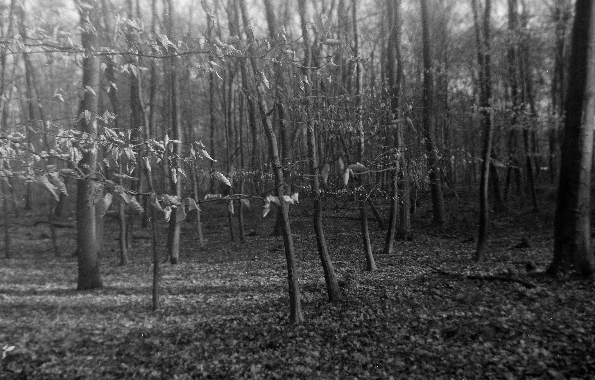 2017 03 18  clack 08 32702090273 o