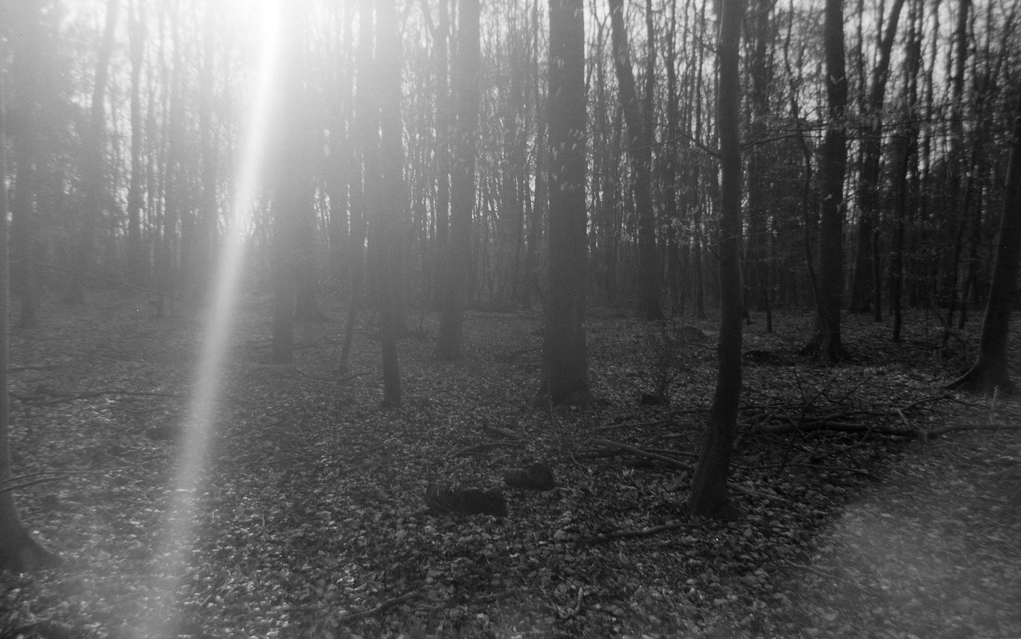 2017 03 18  clack 09 32672965914 o