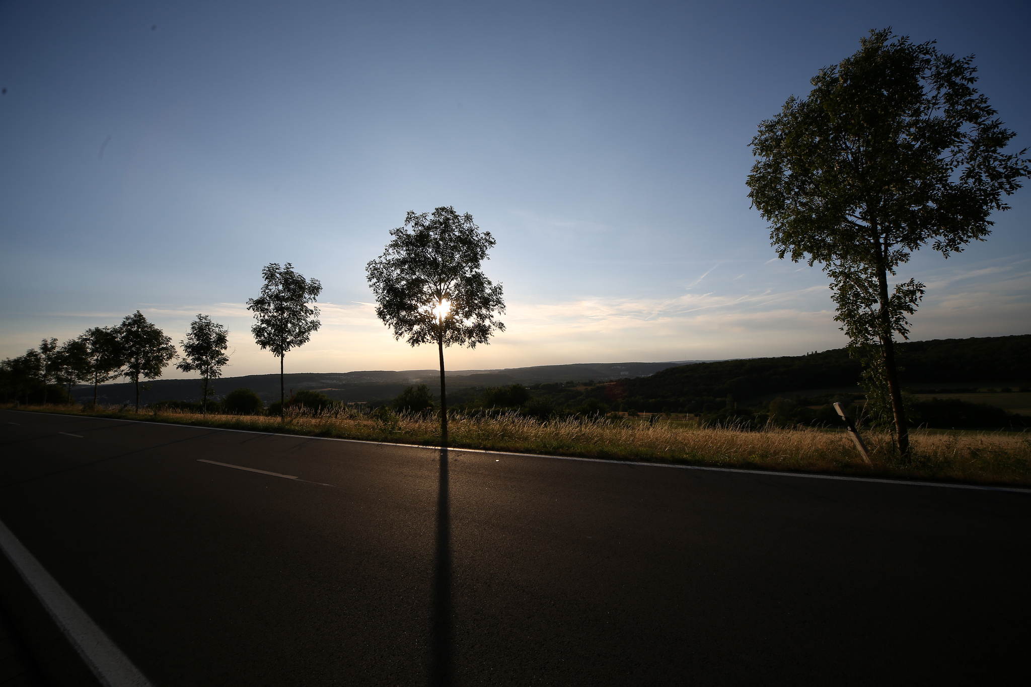 Abendlicht 20212399822 o