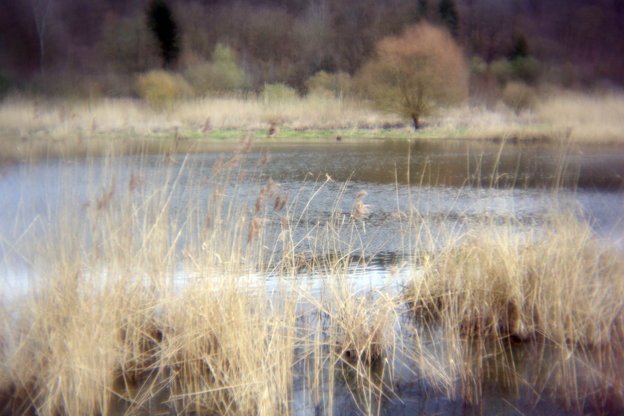 Biotop 02 16794757359 o