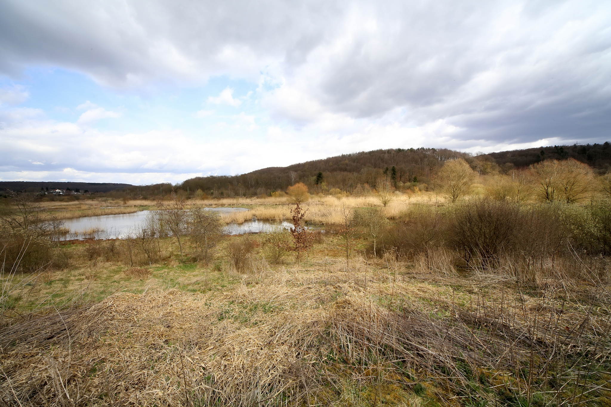 Biotop 03 16793232358 o