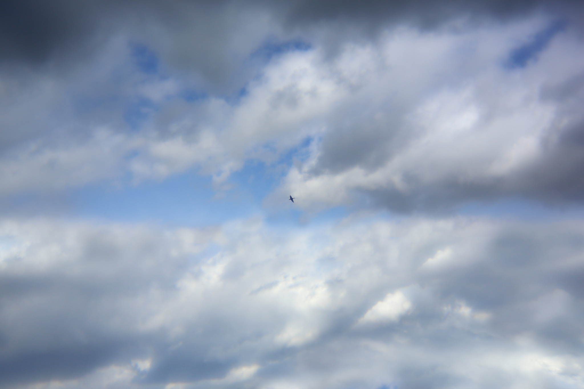 Biotop 04 16979608822 o