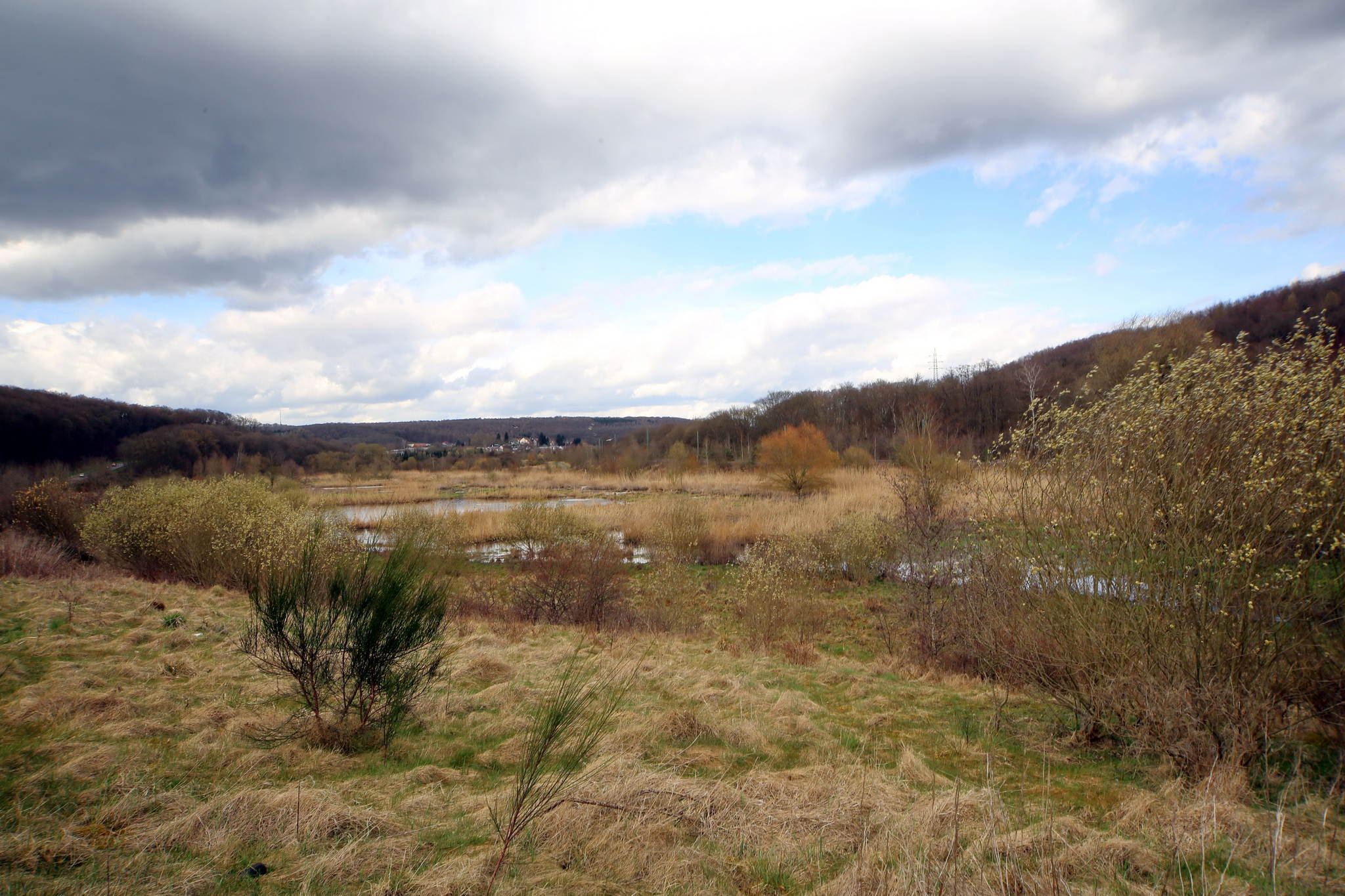 Biotop 05 16773560327 o