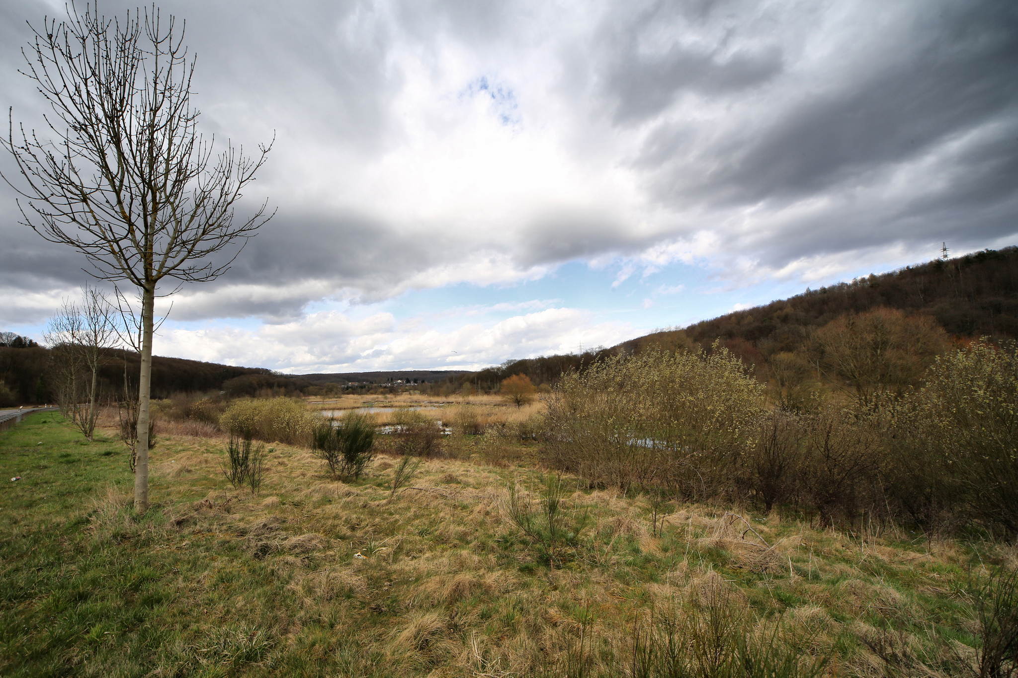 Biotop 06 16794742029 o