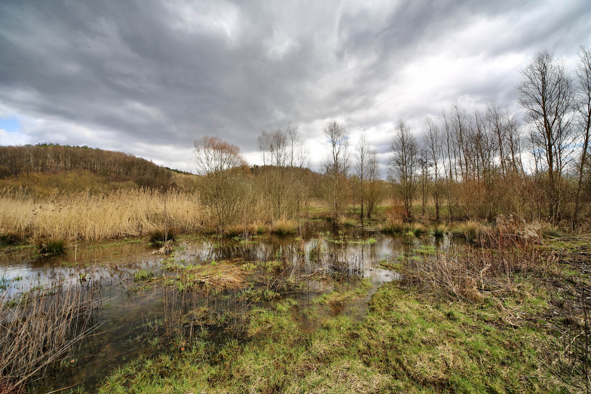 Biotop 07 16980926705 o