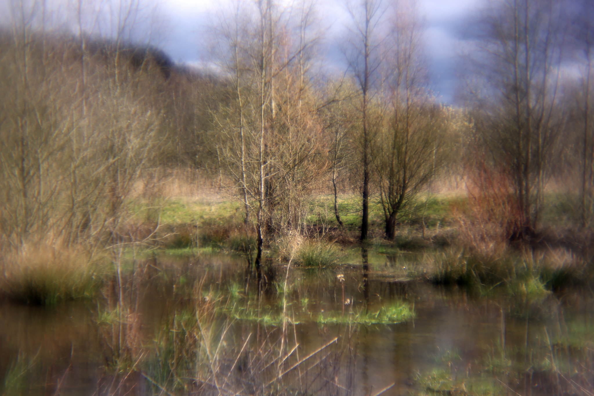 Biotop 08 16794732899 o