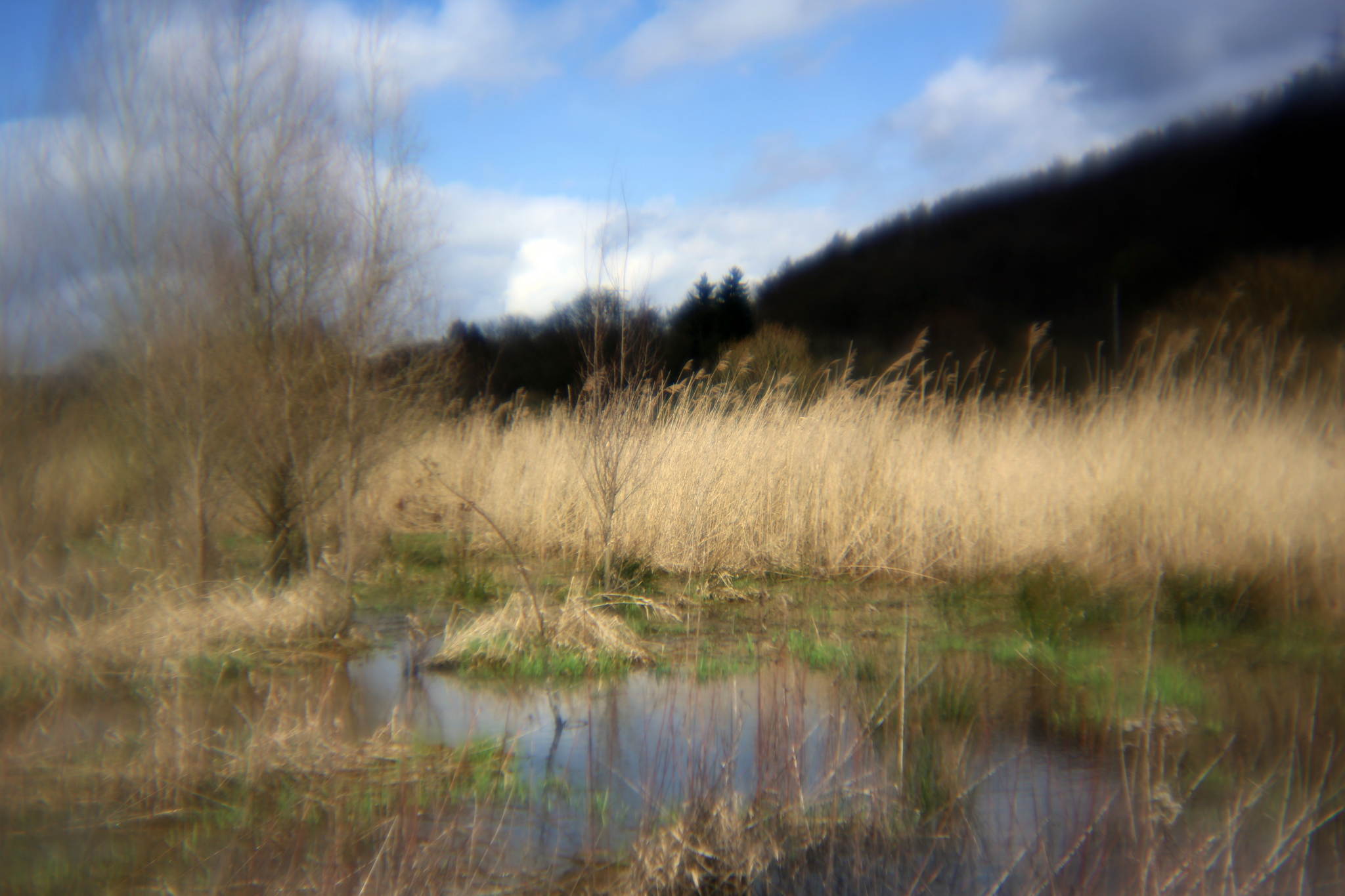 Biotop 09 16773544307 o