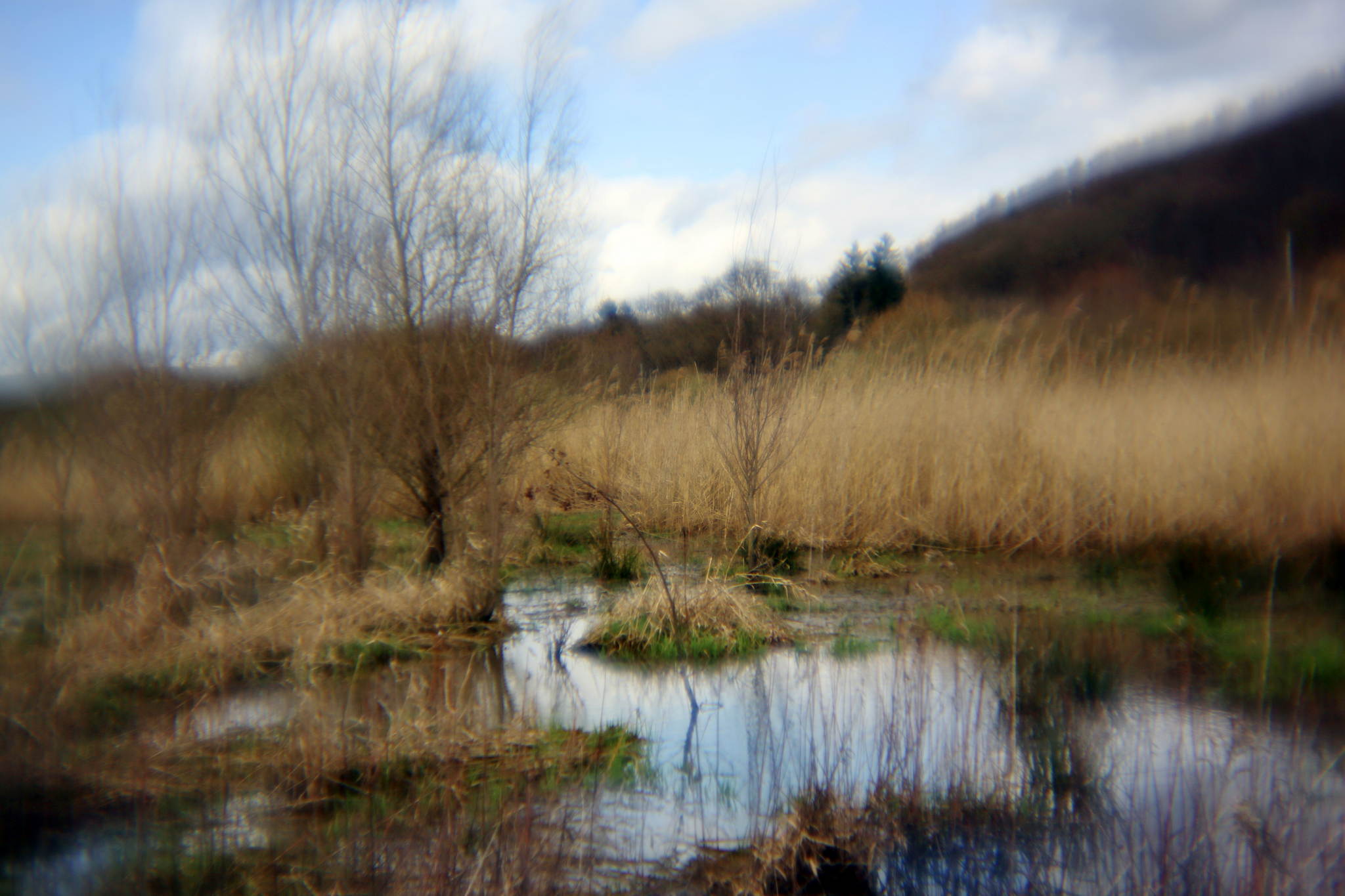 Biotop 10 16980915425 o