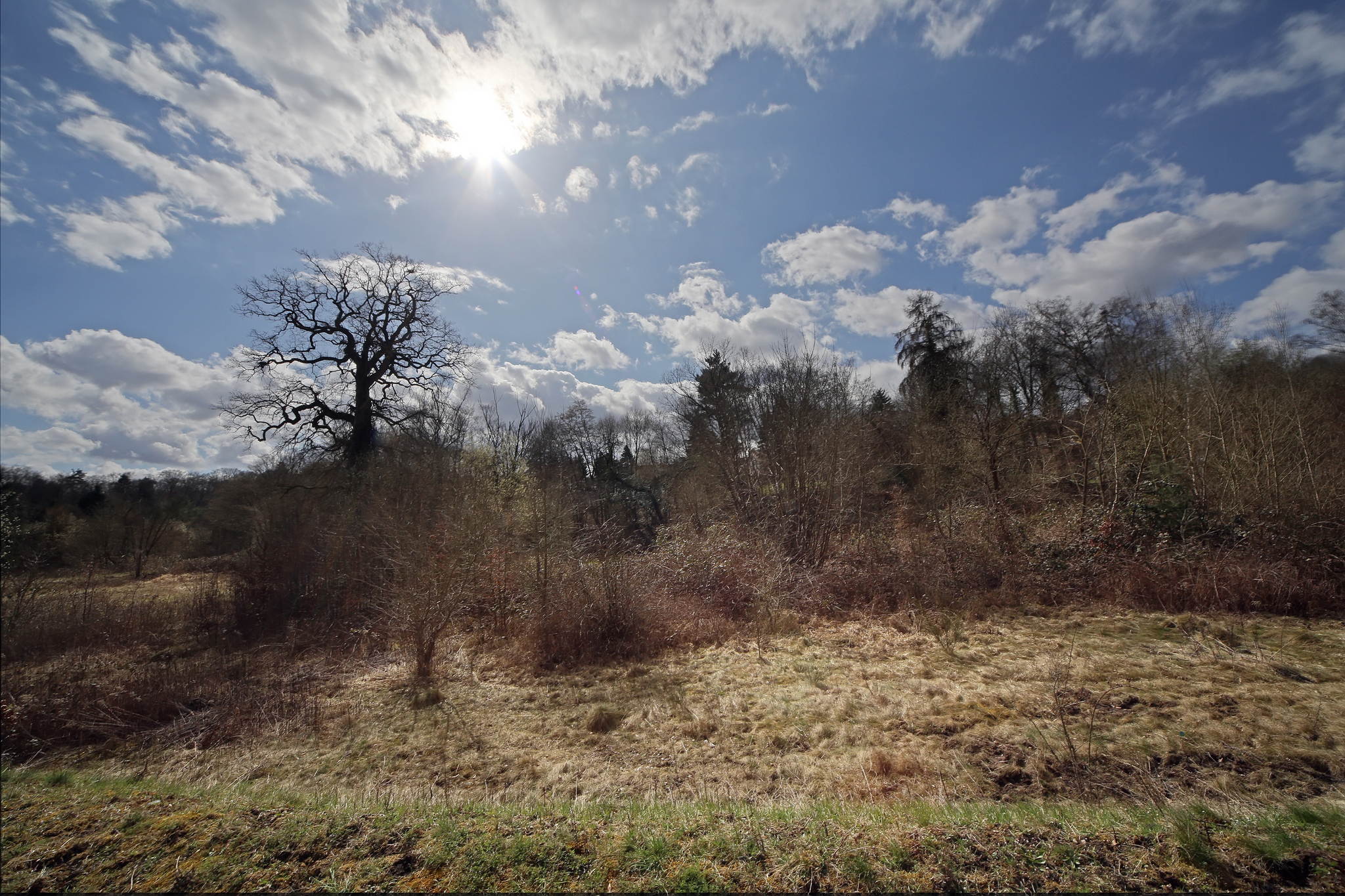 Biotop 12 16793203228 o