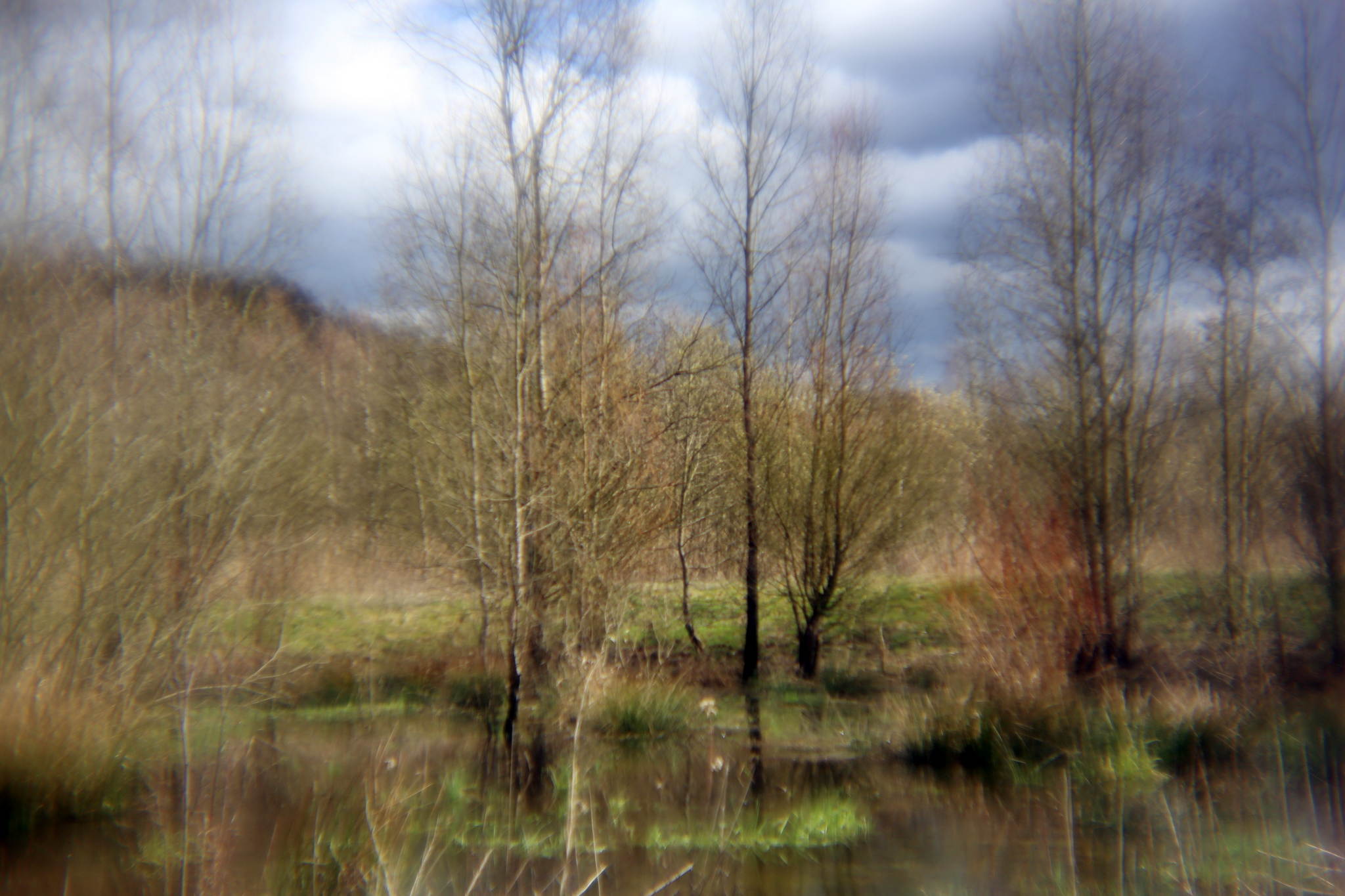 Biotop 13 16793455400 o