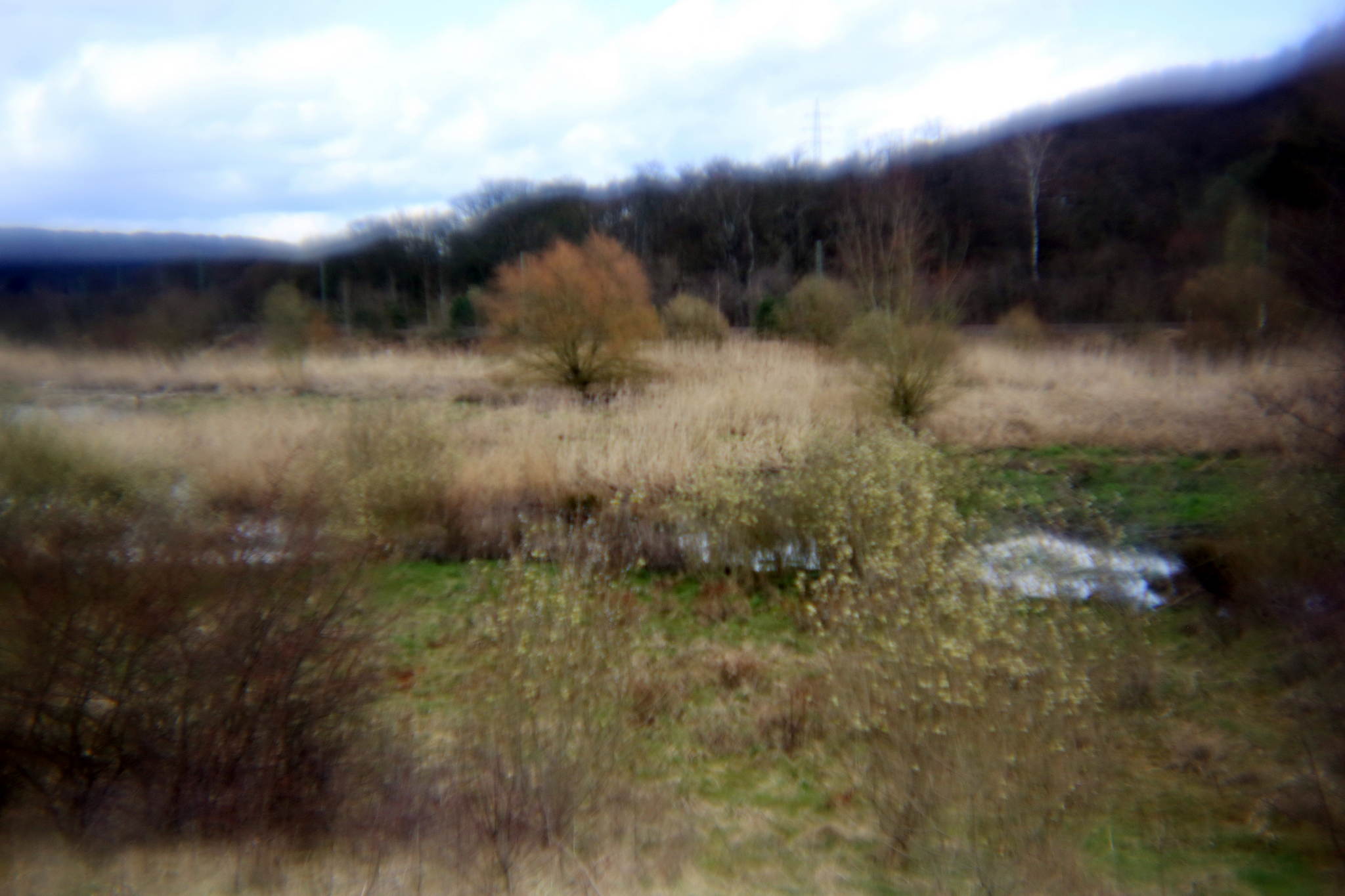 Biotop 14 16360817573 o