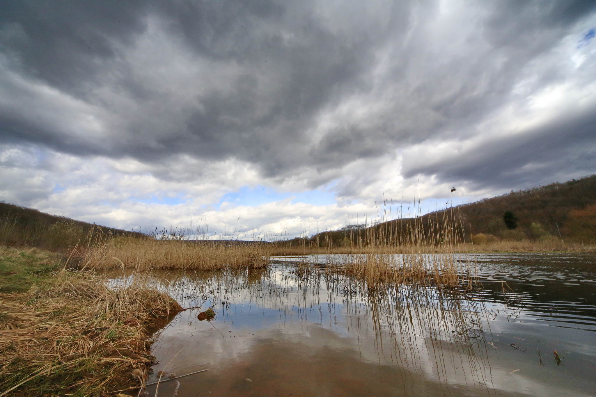 Biotop 15 16794712789 o