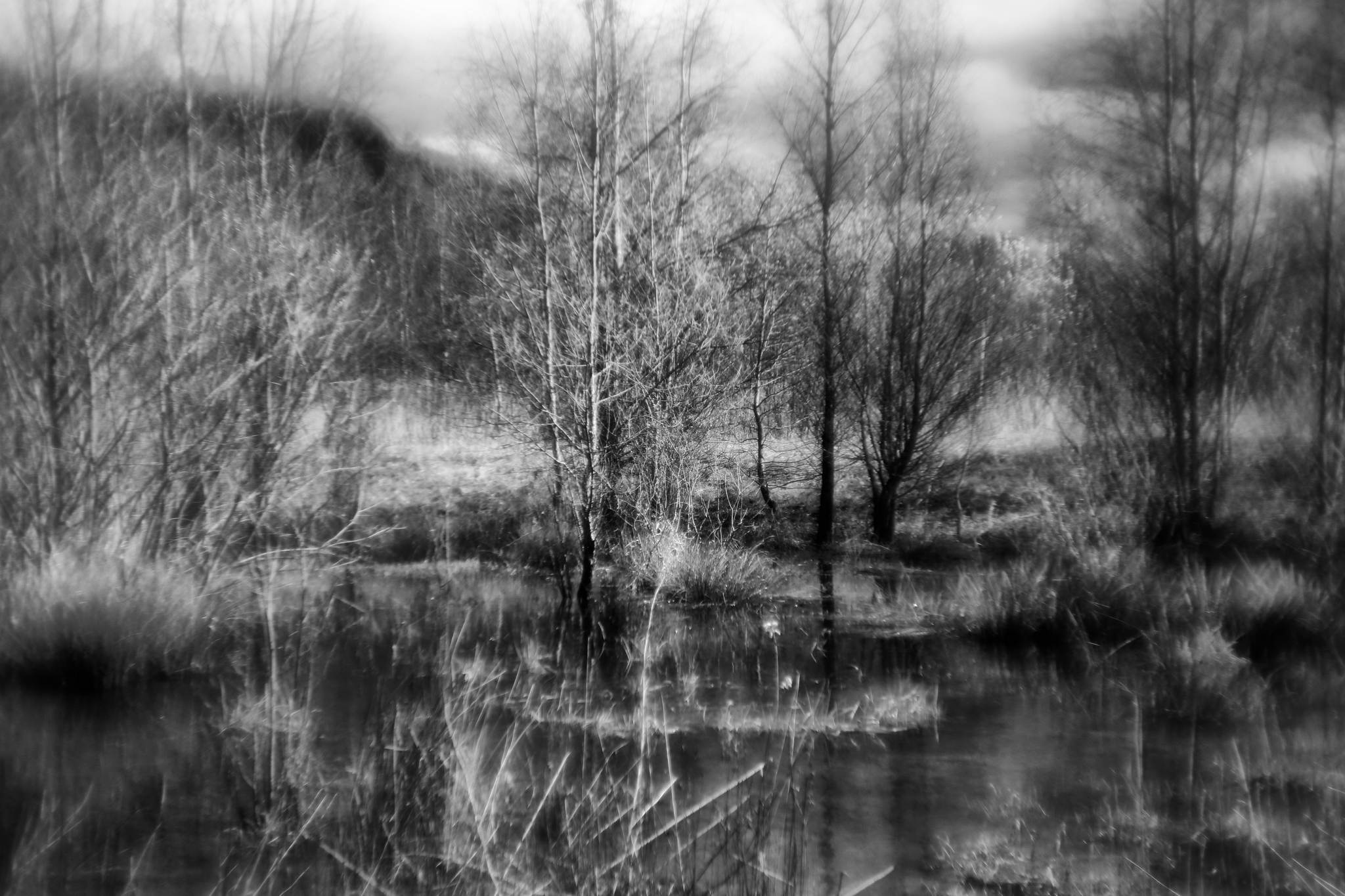 Biotop sw 03 16364359284 o