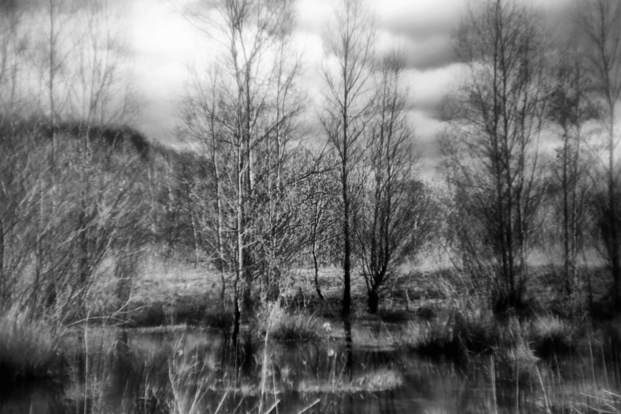 Biotop sw 04 16779345417 o