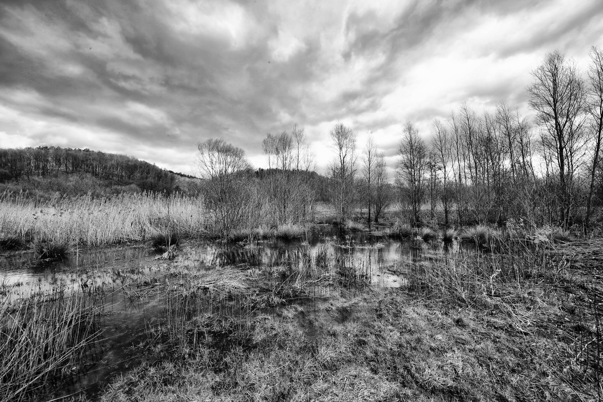 Biotop sw 05 16985832961 o