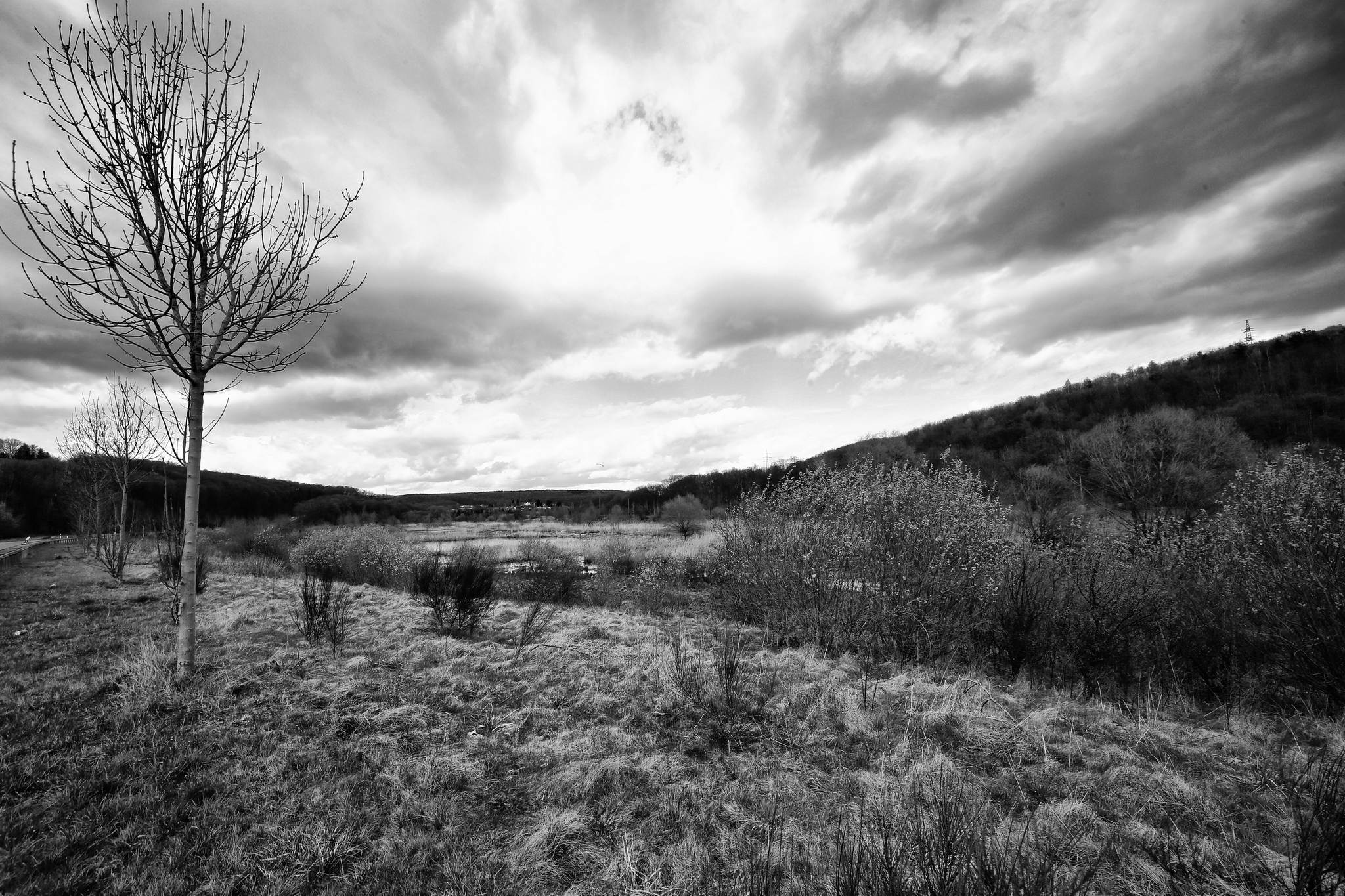 Biotop sw 06 16985838031 o