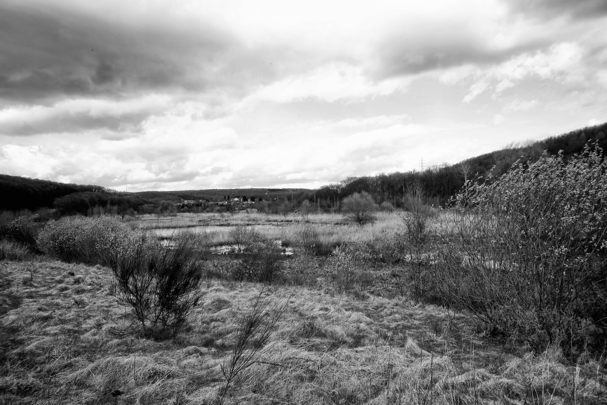 Biotop sw 07 16800543479 o