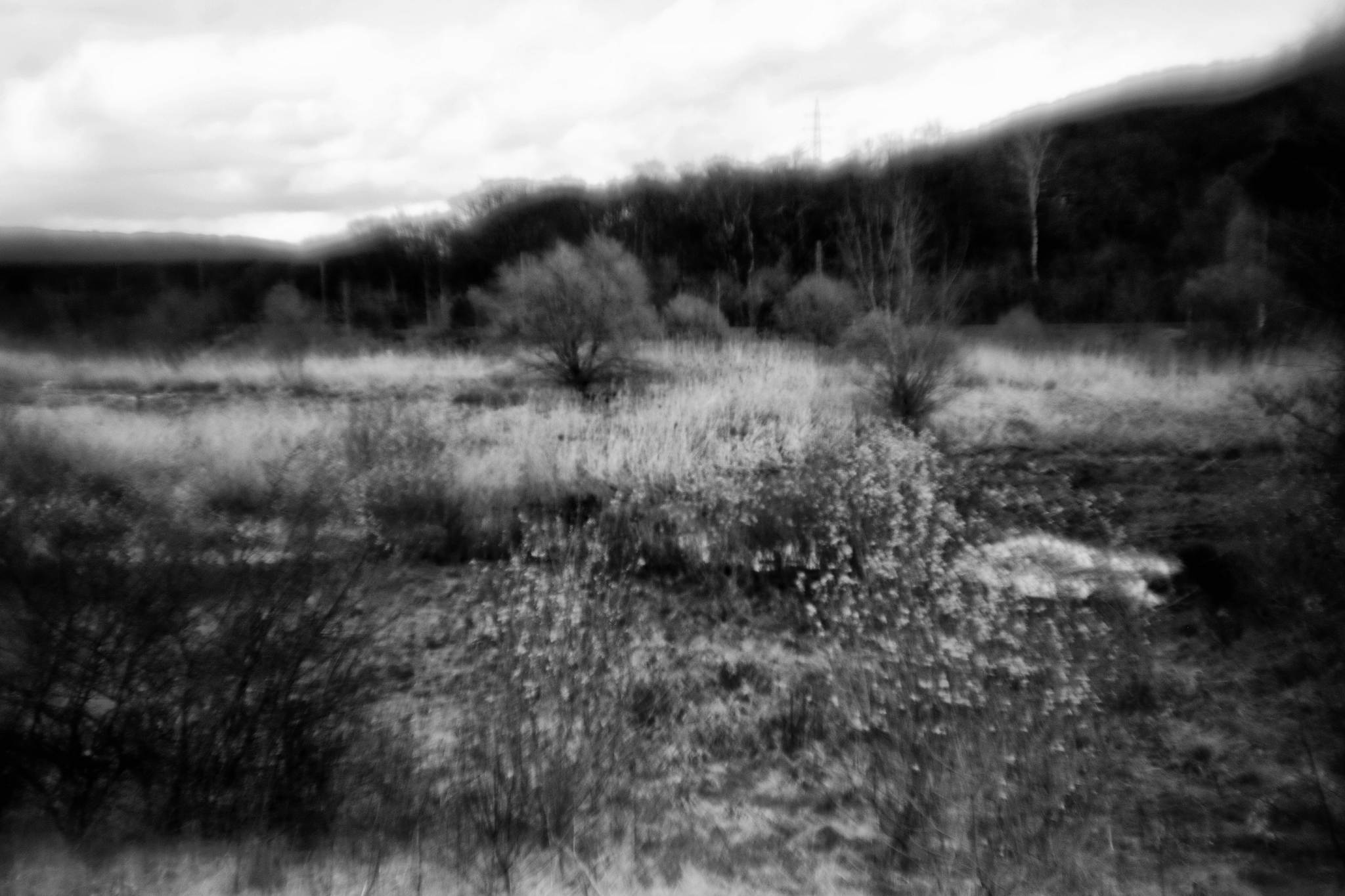 Biotop sw 08 16364371234 o