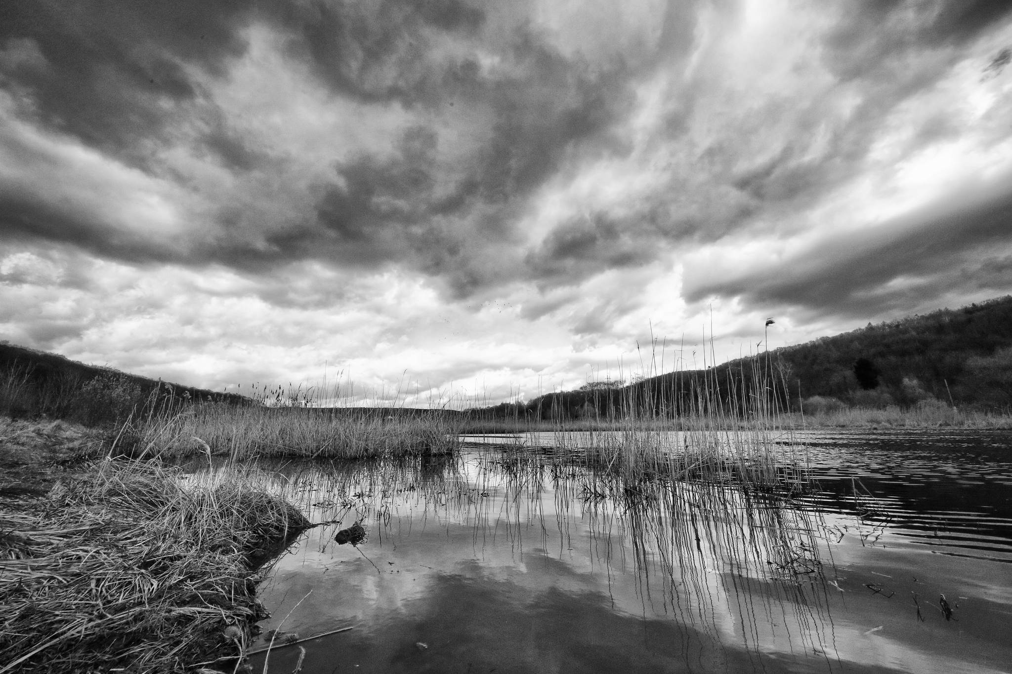 Biotop sw 09 16800550969 o