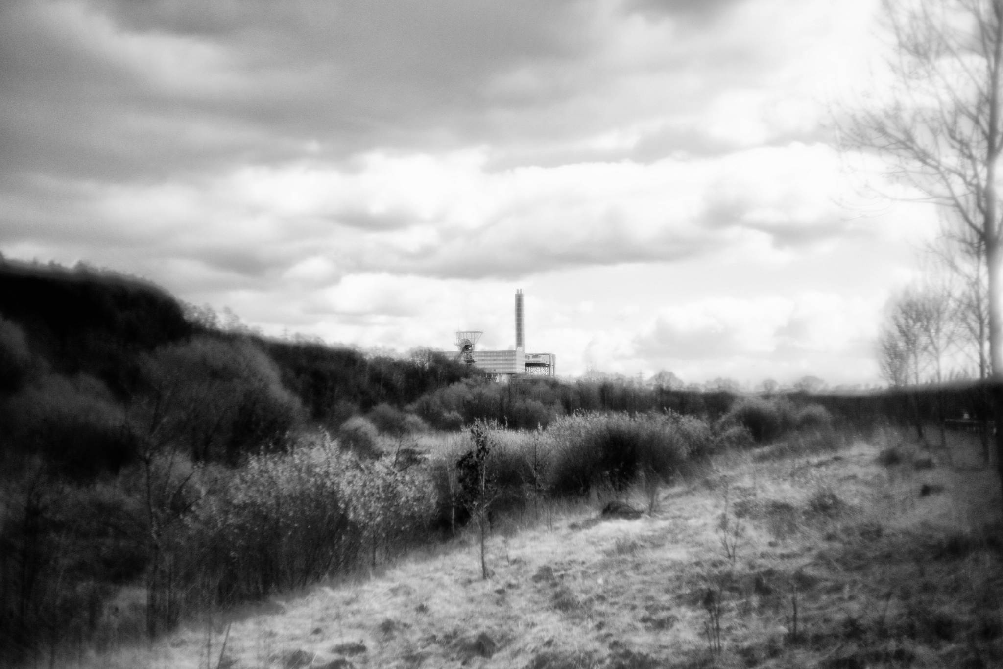 Biotop sw 12 16960797286 o