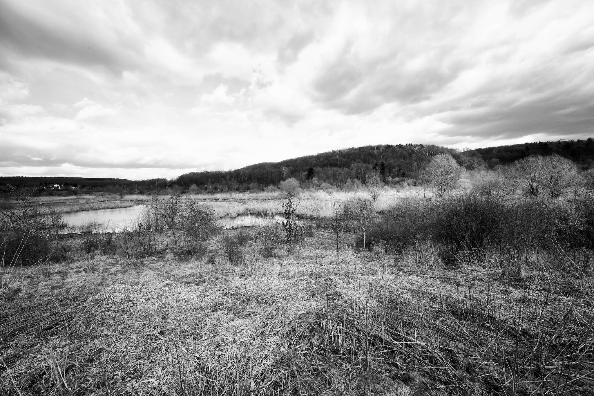 Biotop sw 13 16985402742 o