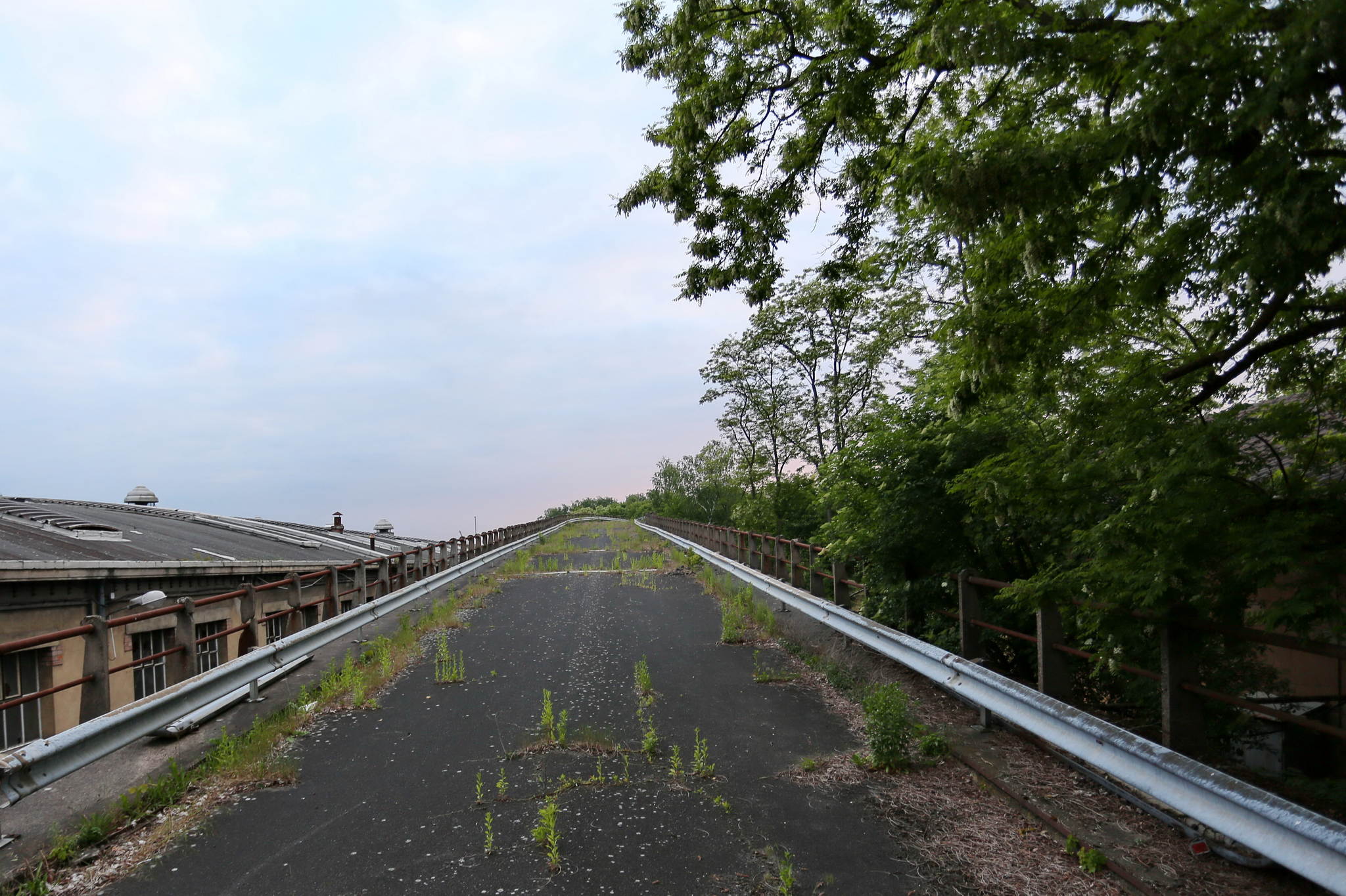 Cabanes festival de moselle 06 18039398135 o