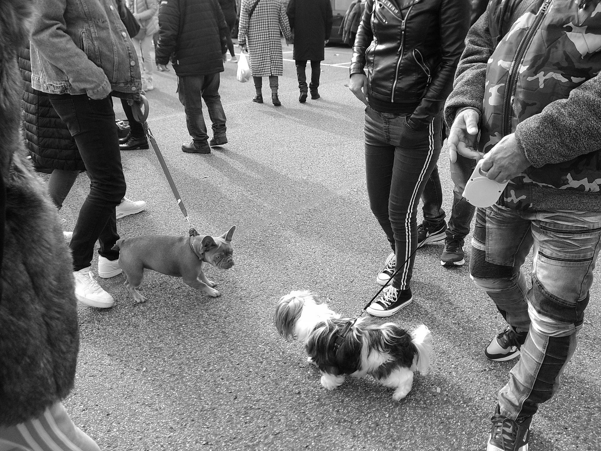 Dscf0009 54064588749 o