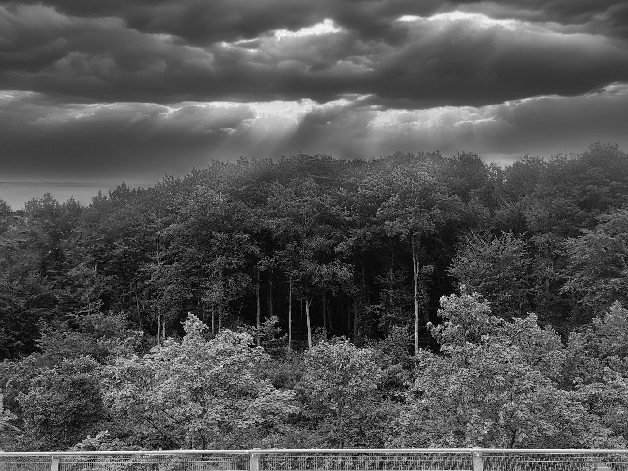 Dscf0071a 53892070302 o