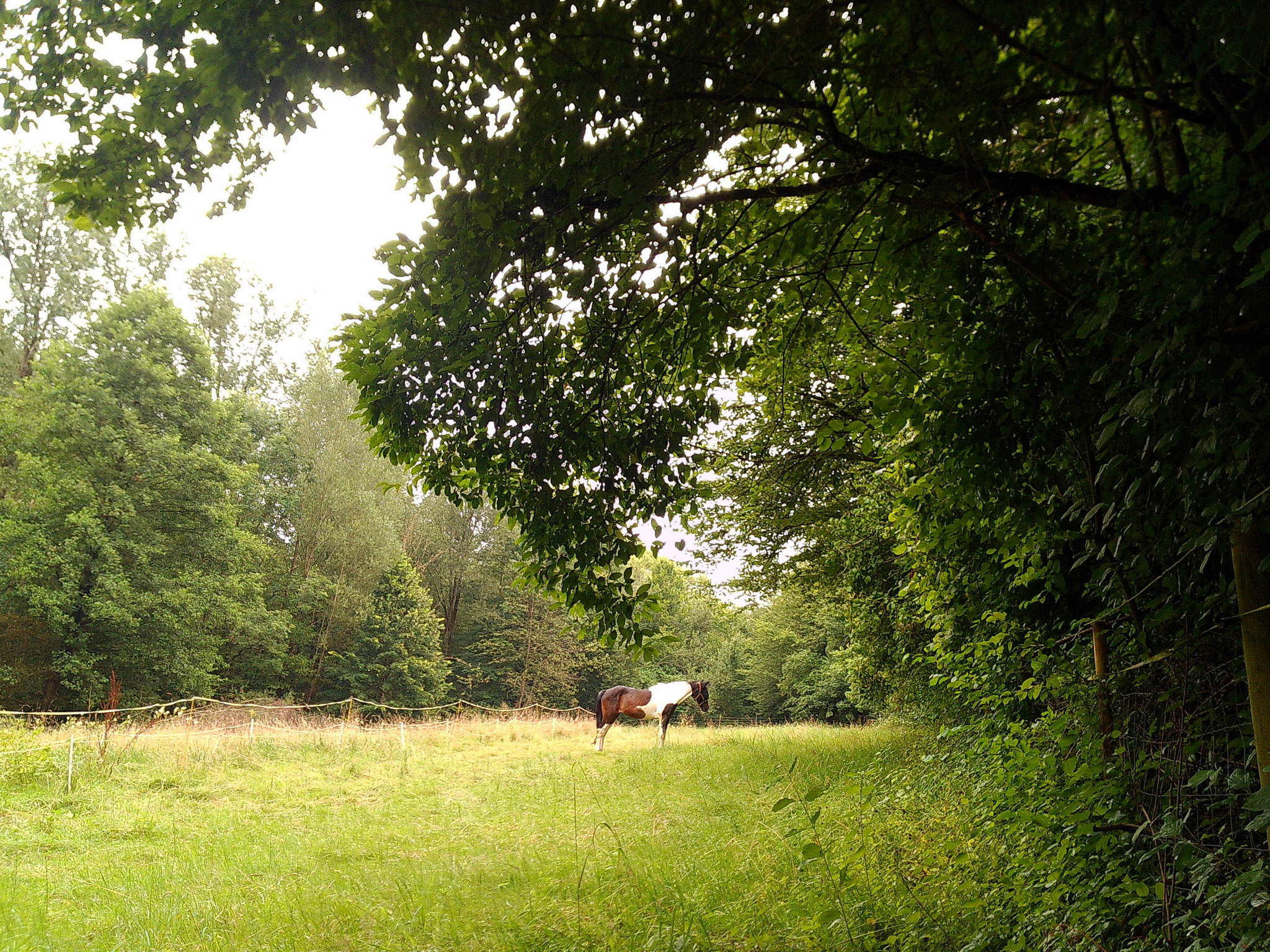 Dscf0201 53893404535 o