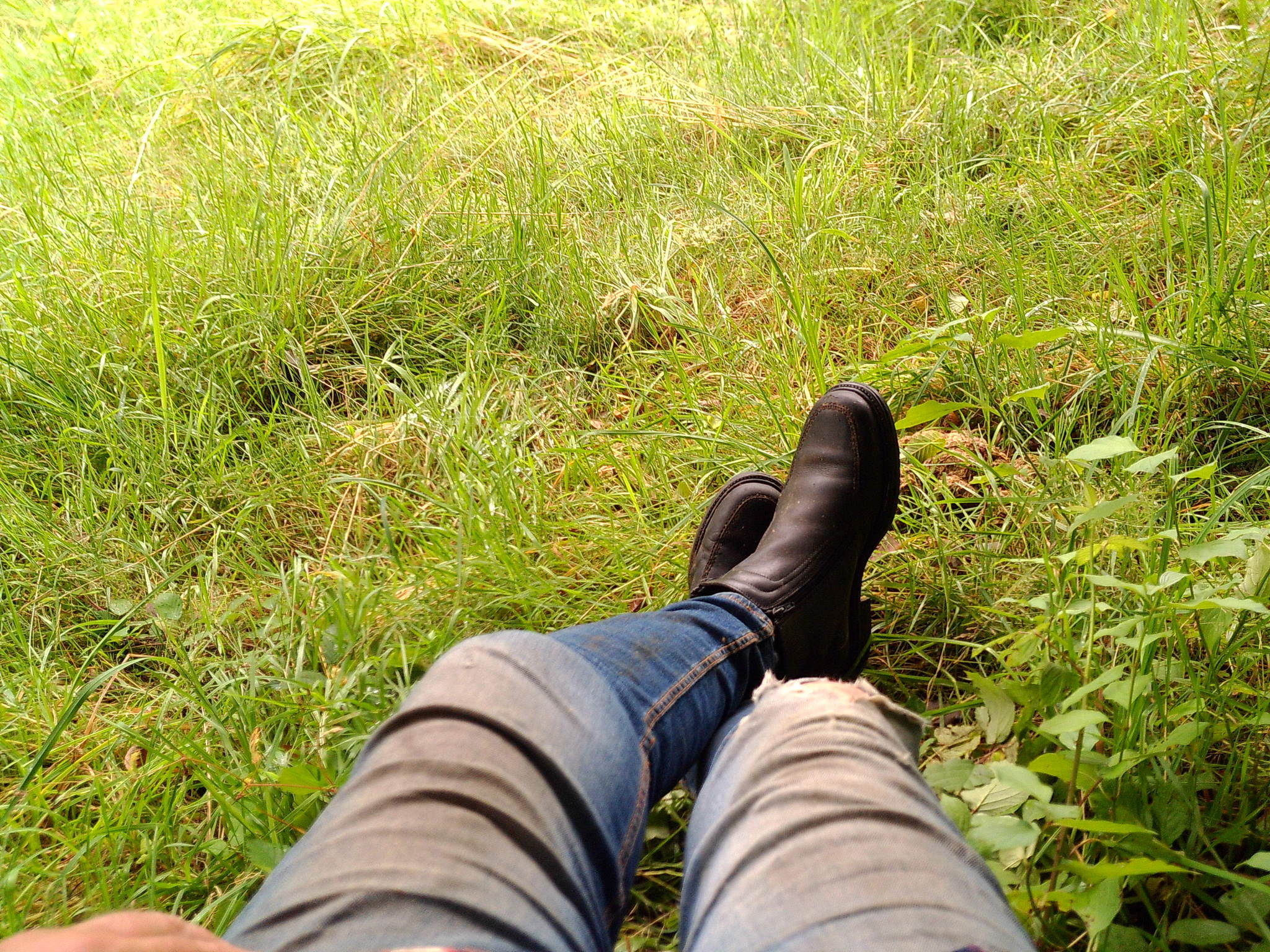 Dscf0210 53893404590 o