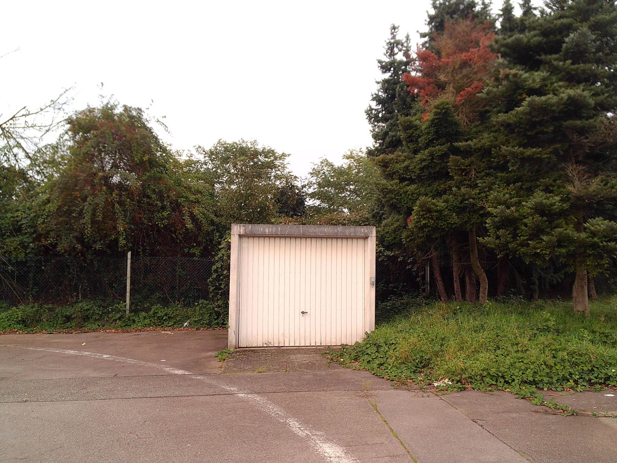 Dscf1683 54047505478 o