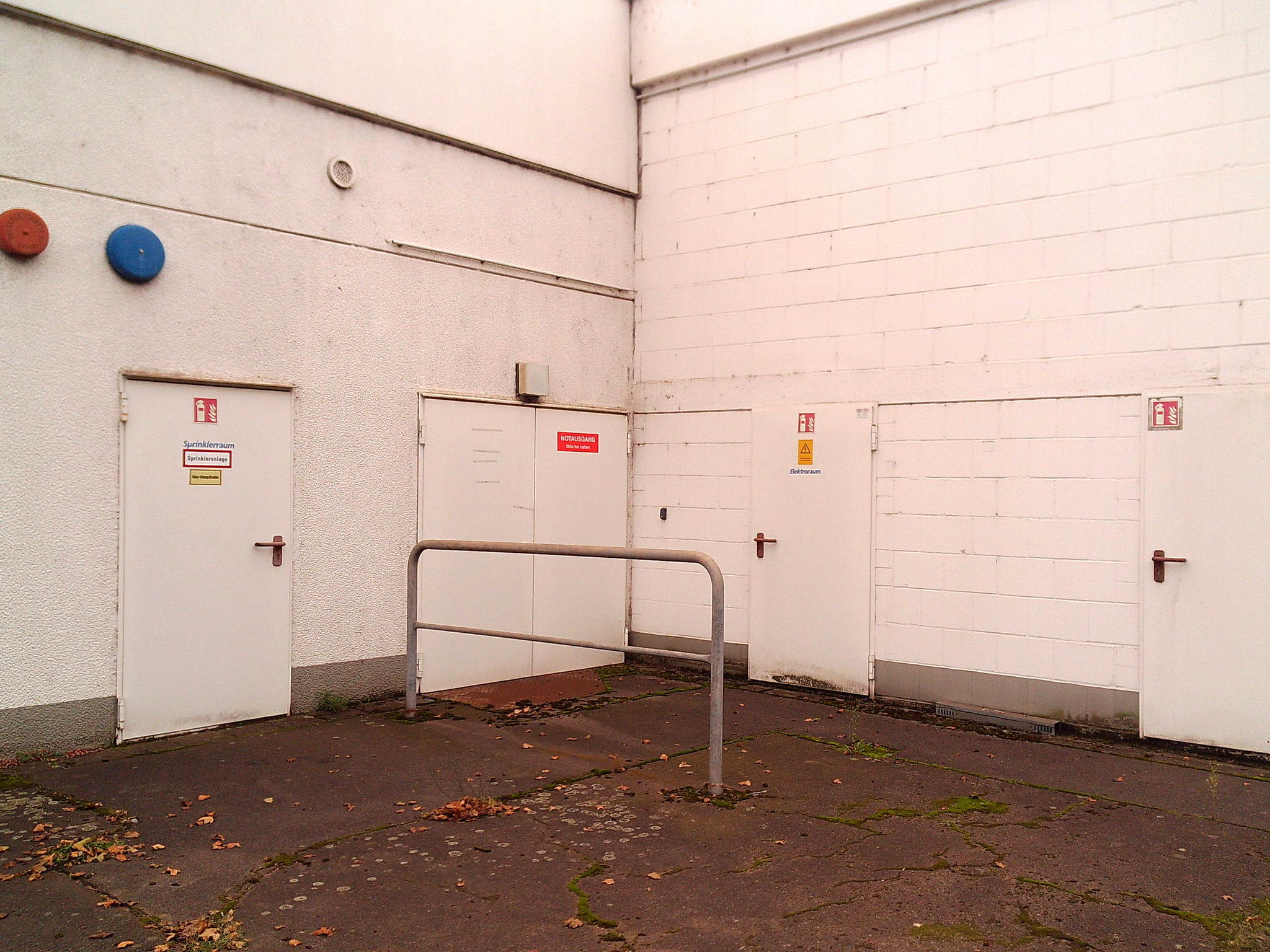 Dscf1688 54047506023 o