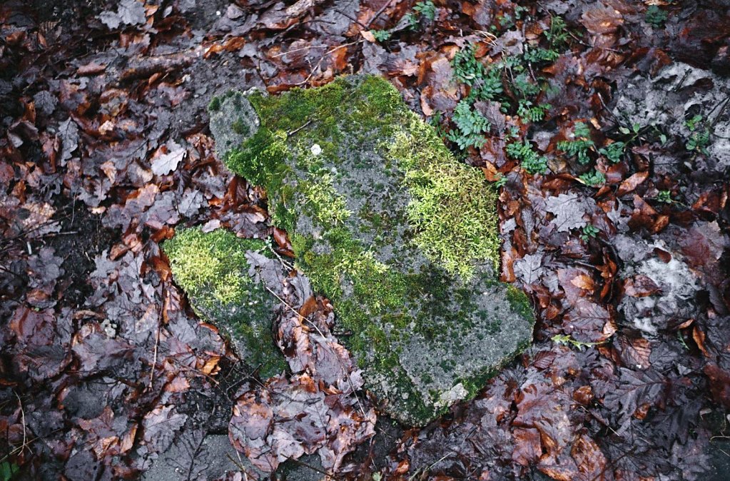 07web 2017 12 29 CanonIV 10,large.1542455409