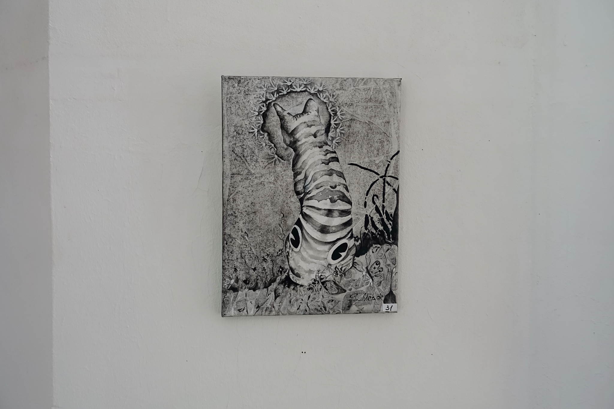 2017 06  colors of velsen 069 35104143500 o