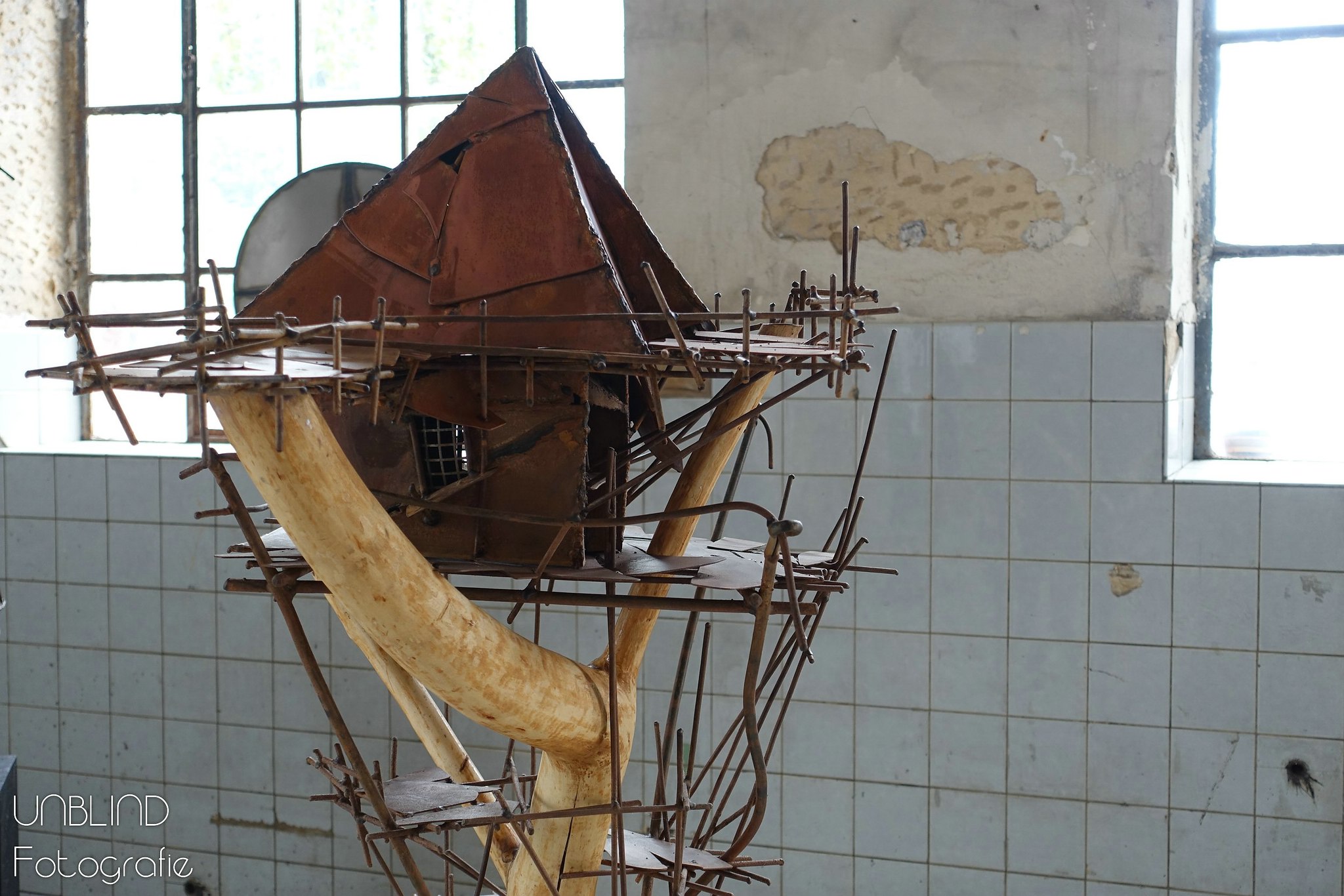 Vkl 2015 06 colors of velsen 028 18441664780 o