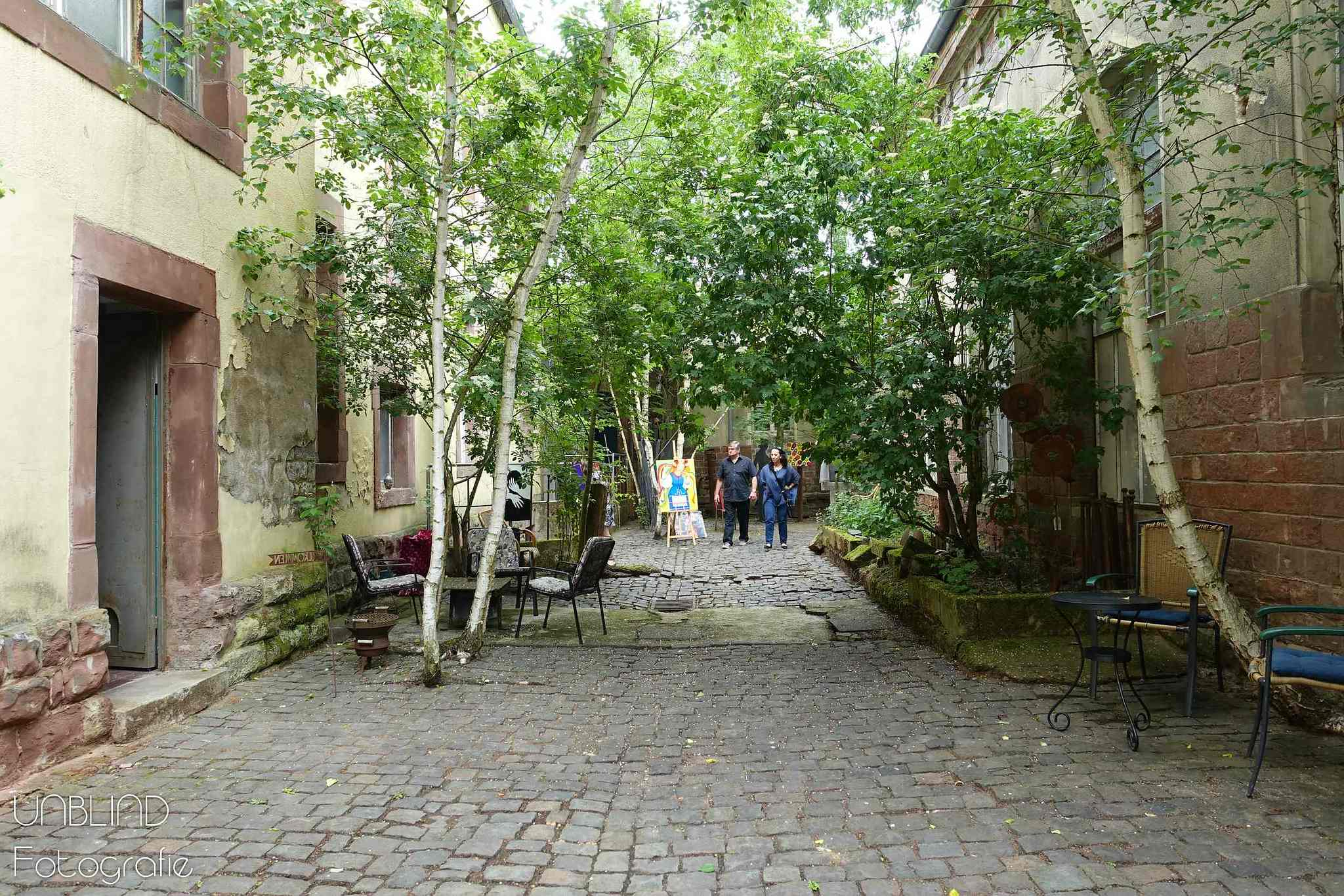 Vkl 2015 06 colors of velsen 031 18631563151 o