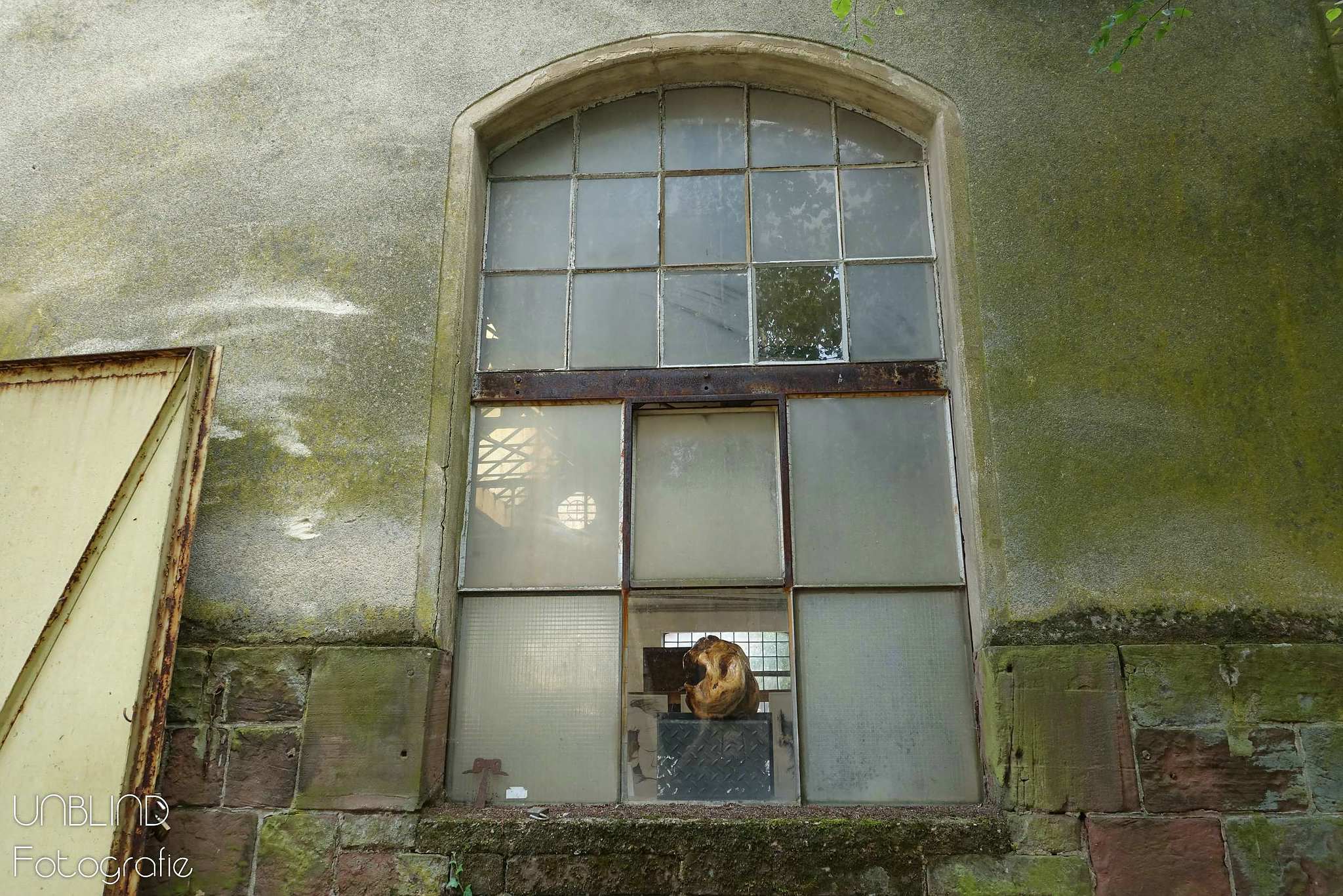 Vkl 2015 06 colors of velsen 067 18008609553 o