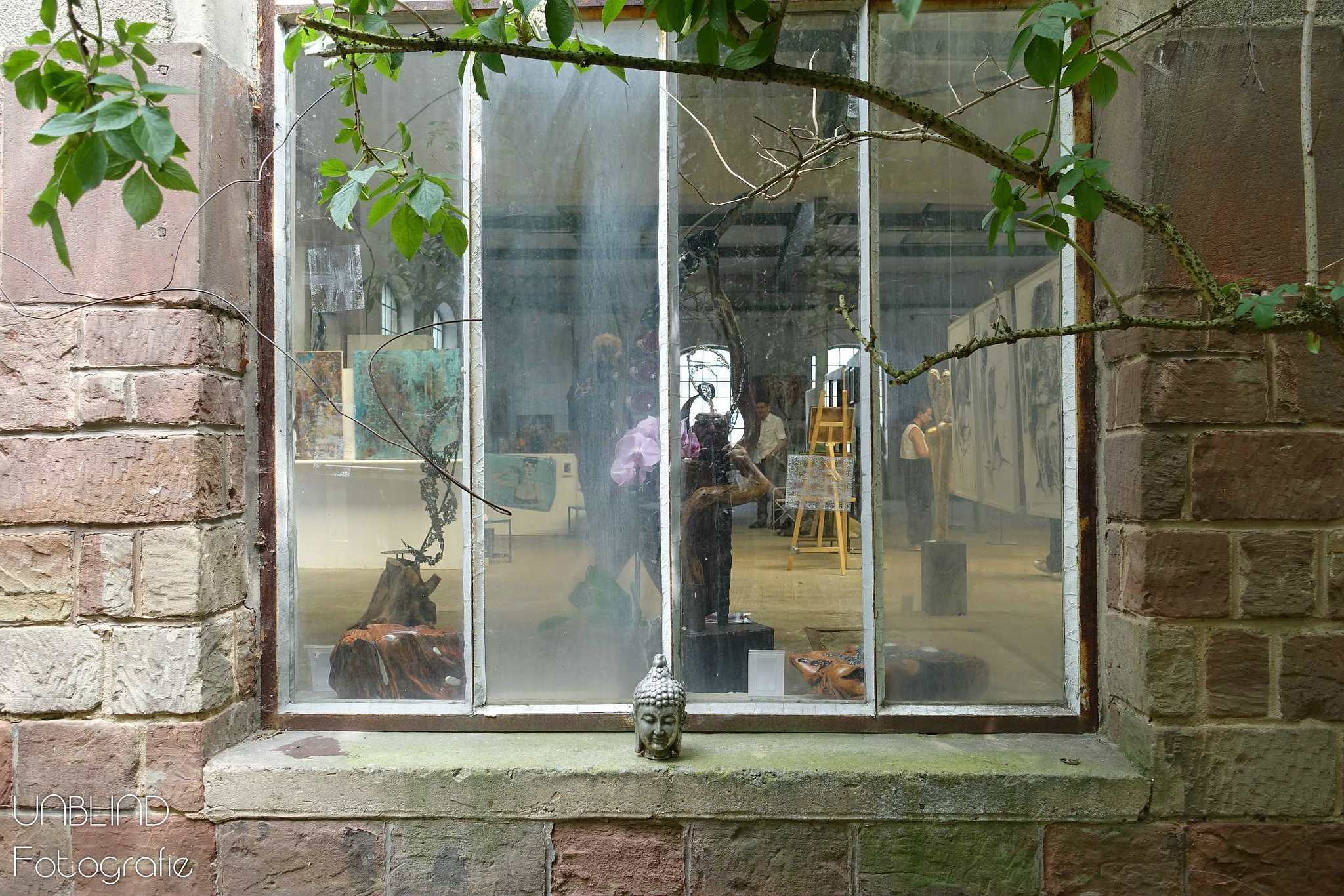 Vkl 2015 06 colors of velsen 071 18006575134 o