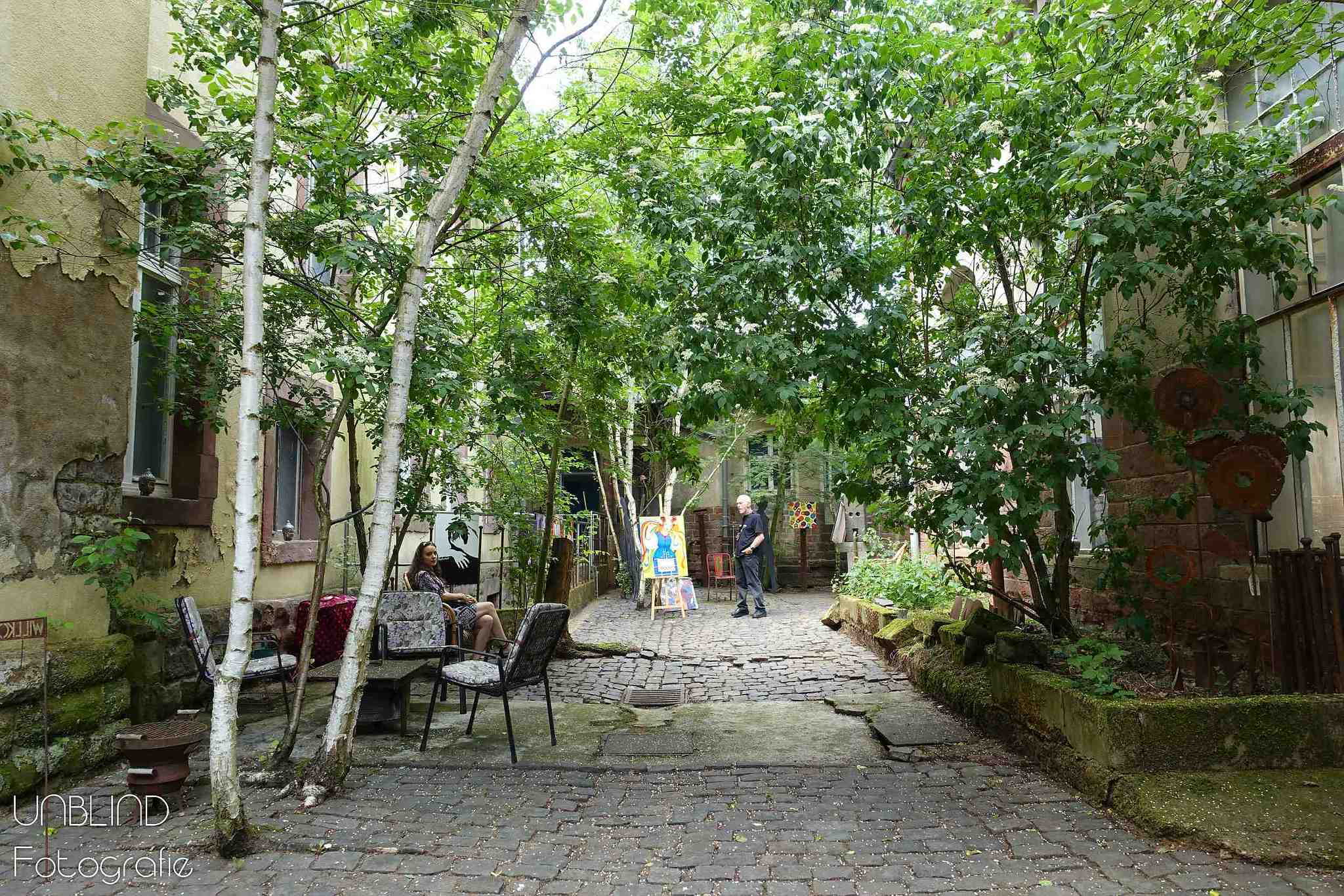 Vkl 2015 06 colors of velsen 072 18602883326 o