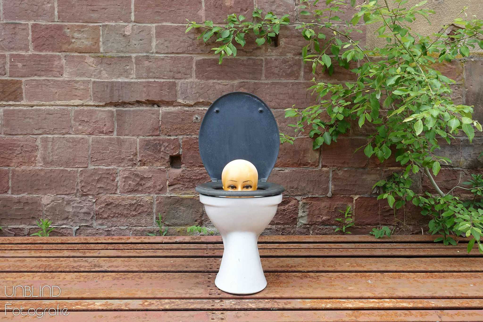 Vkl 2015 06 colors of velsen 075 18441474798 o