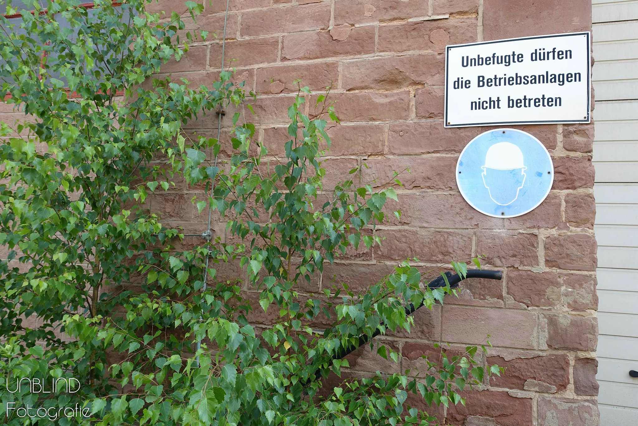 Vkl 2015 06 colors of velsen 147 18441328340 o