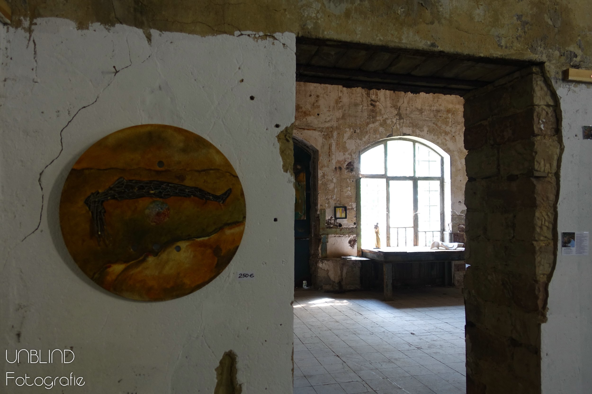 Vkl 2015 06 colors of velsen 153 18624388592 o