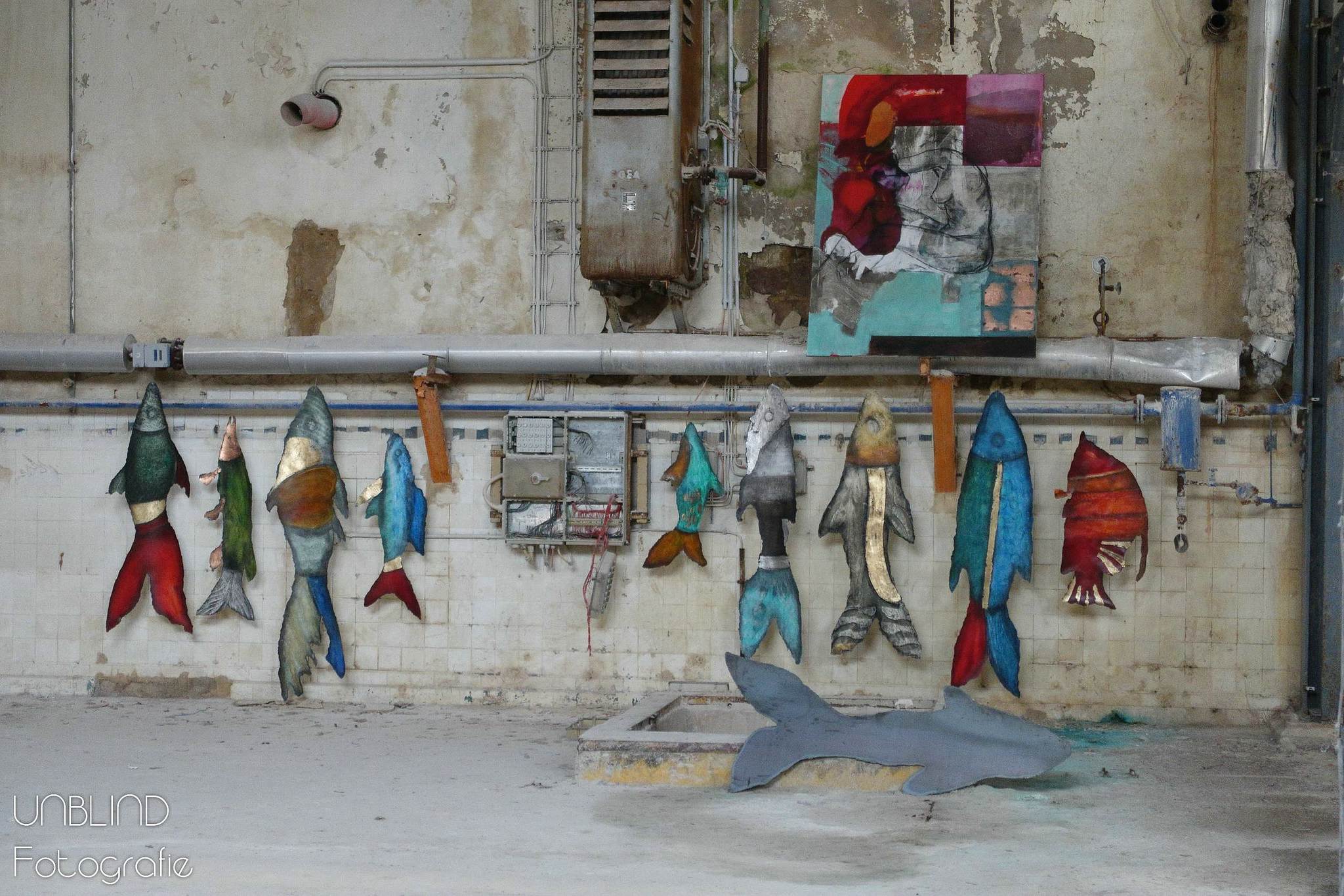 Vkl 2015 06 colors of velsen 158 18441298400 o