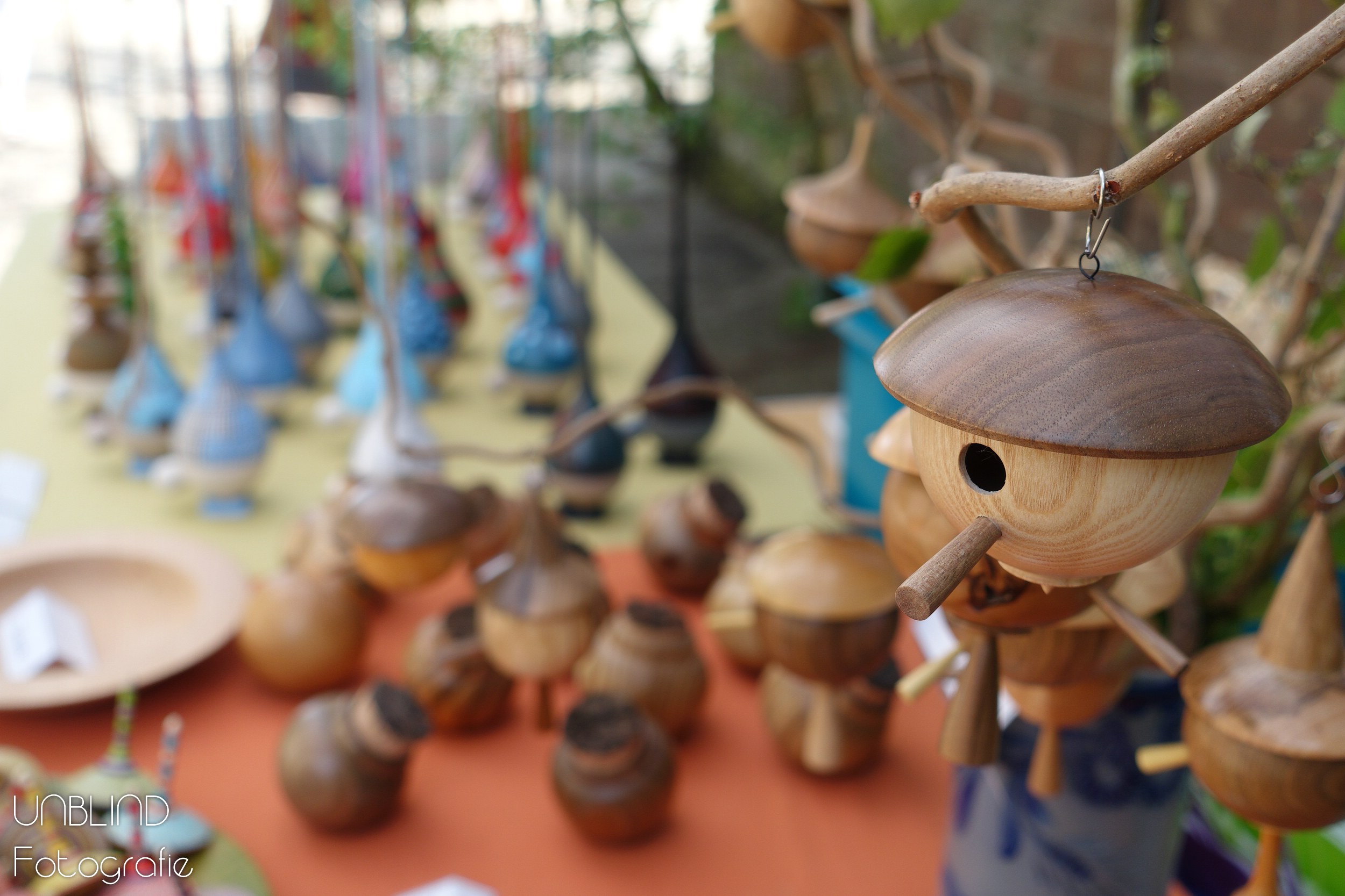 Vkl 2015 06 colors of velsen 220 18008172813 o