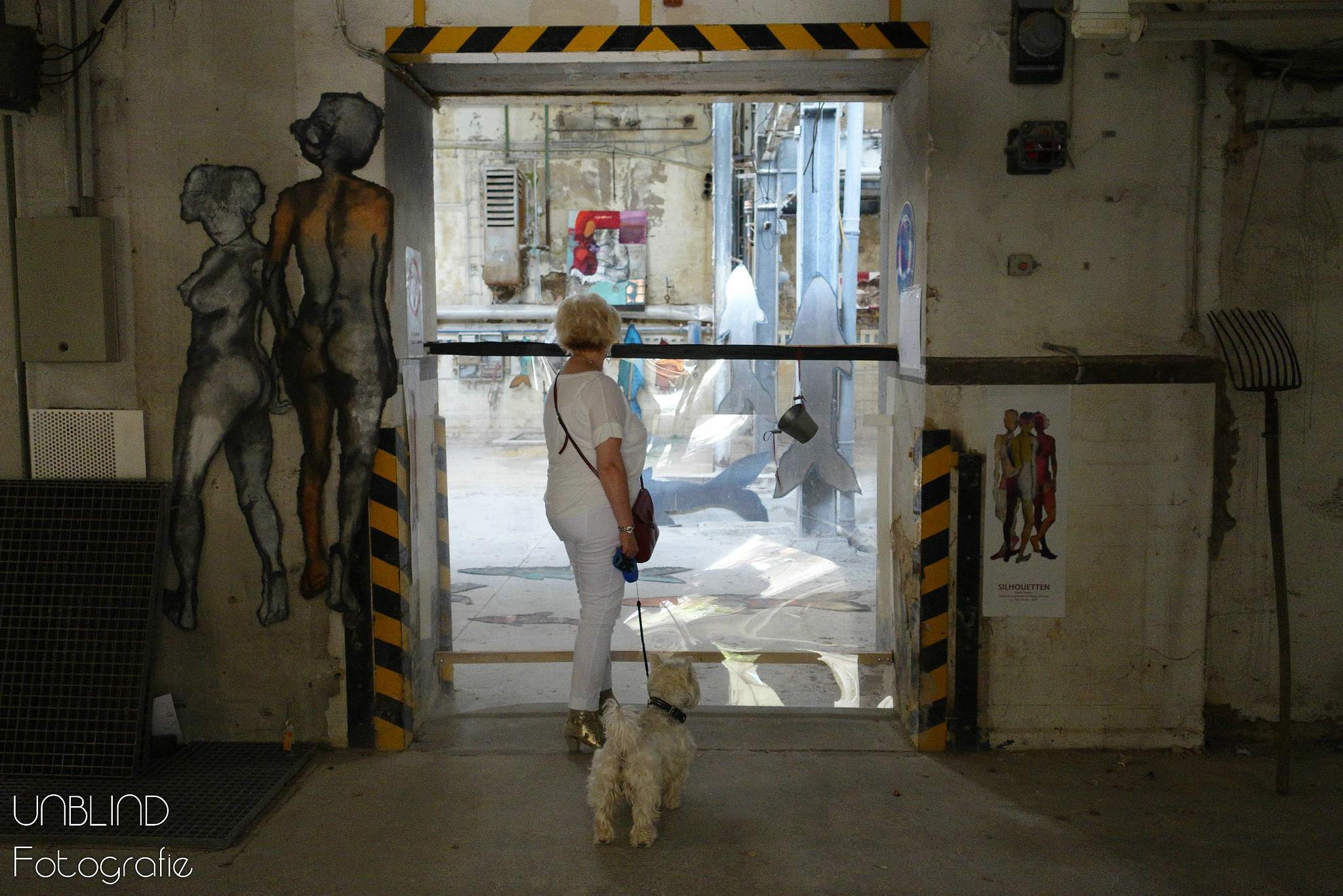 Vkl 2015 06 colors of velsen 222 18442646329 o