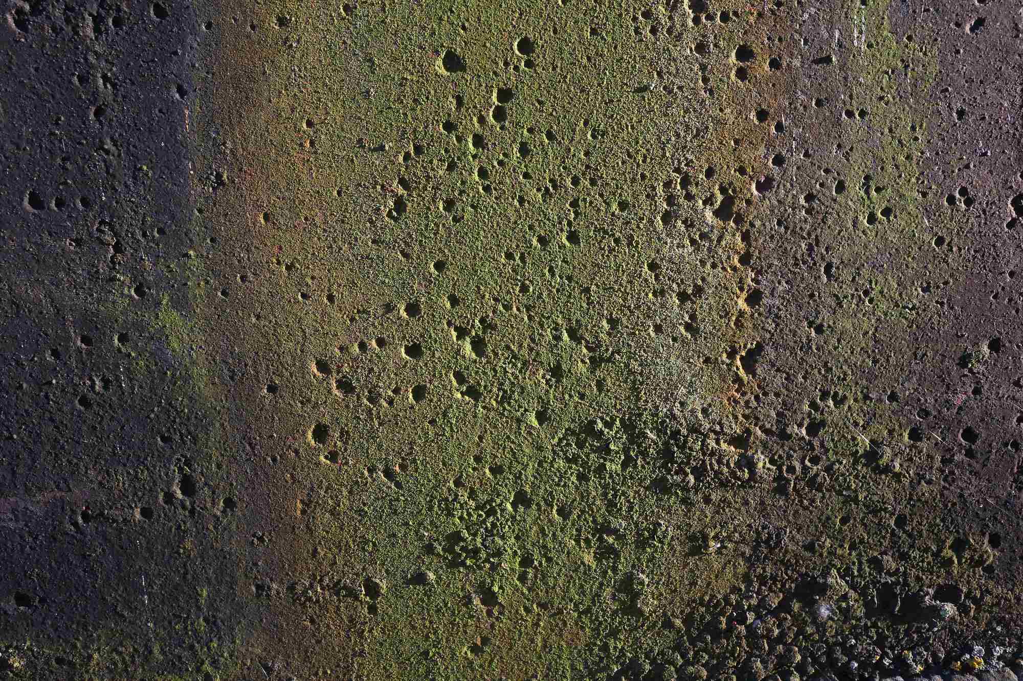 2013 06 18 Thea Saarbruecken 05